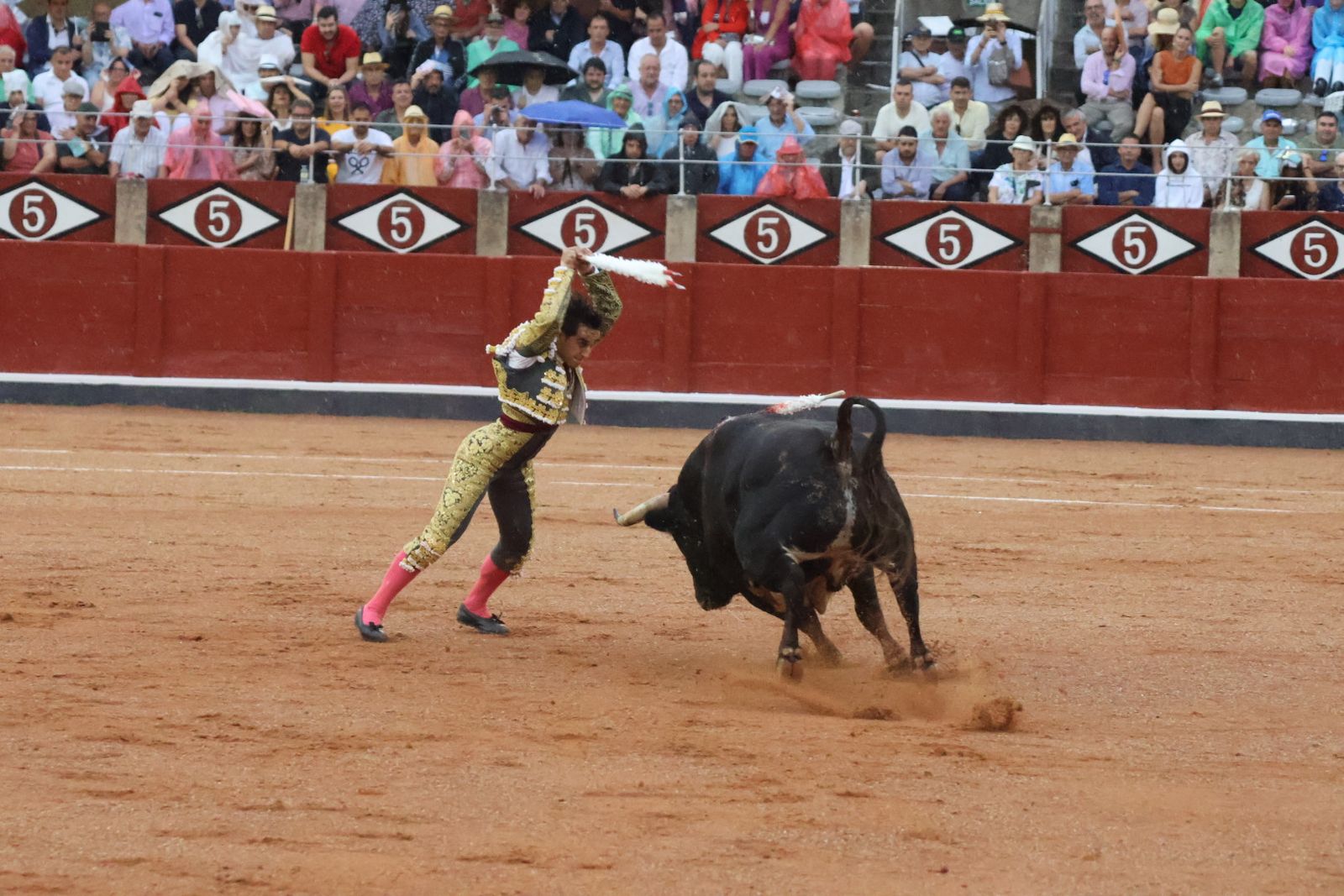 Ismael Martín, Marco Pérez y el aclamado regreso de Morante de la Puebla: su paso por La Glorieta en imágenes