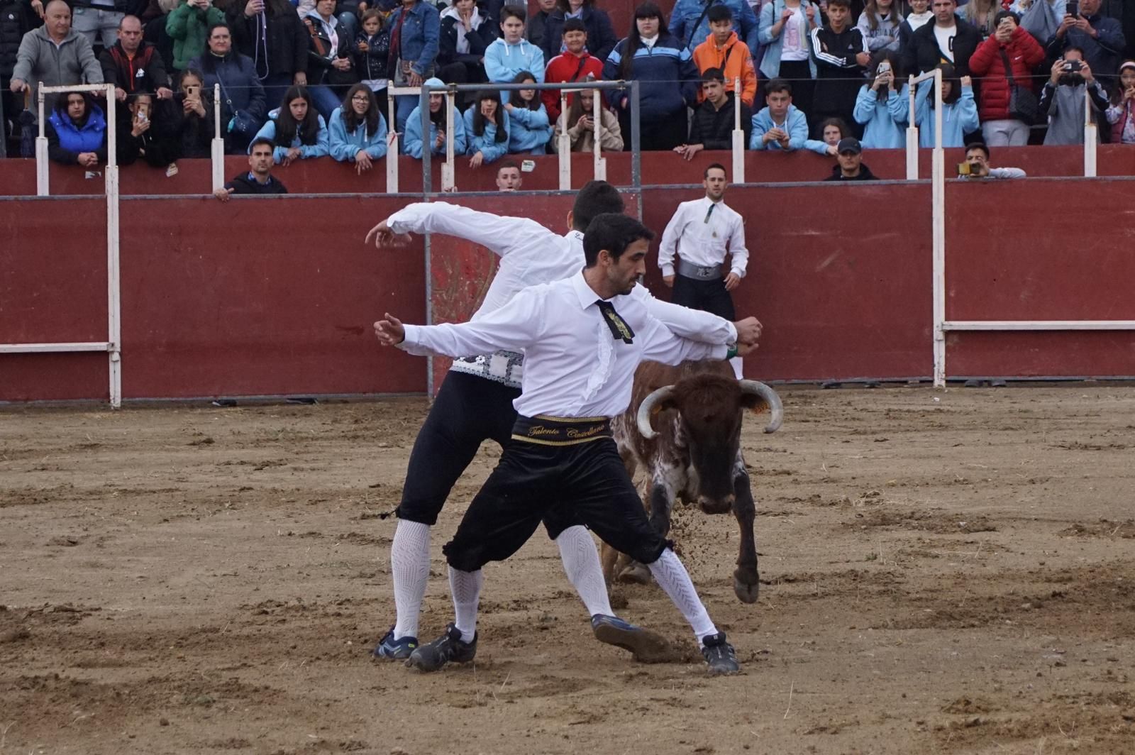 whatsapp-image-2023-05-22-at-20-19-07