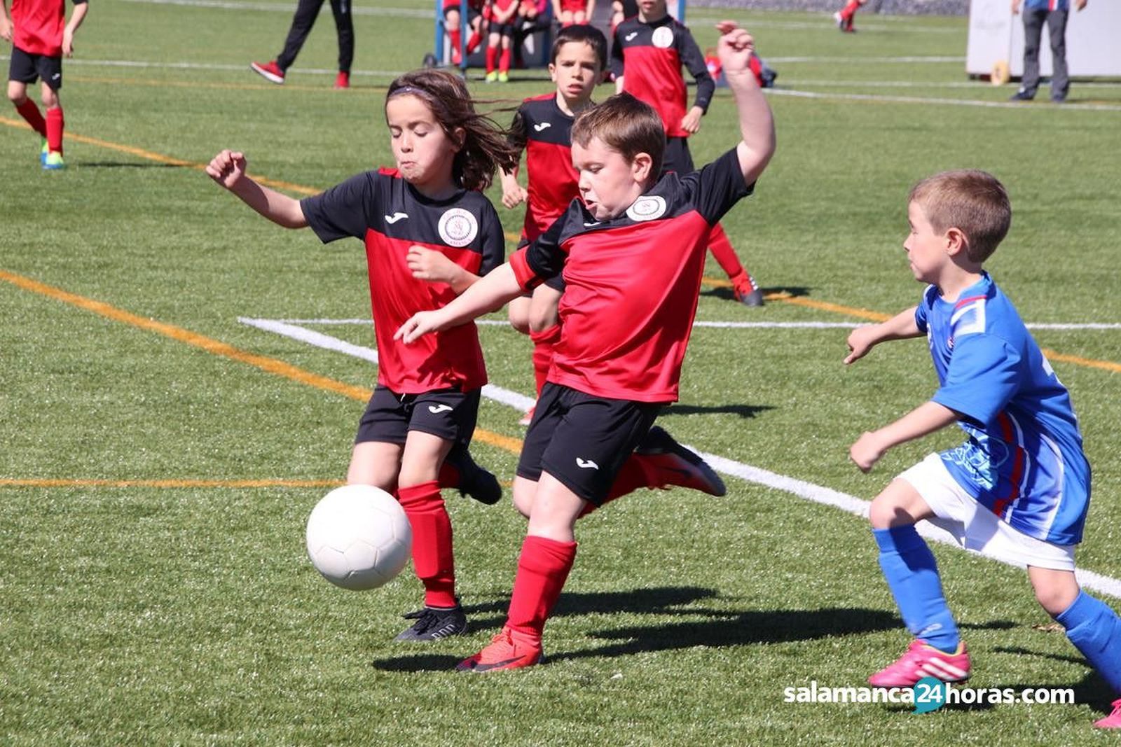 Fúbol base prebenjamín 16 15 marzo (98) (Copy)