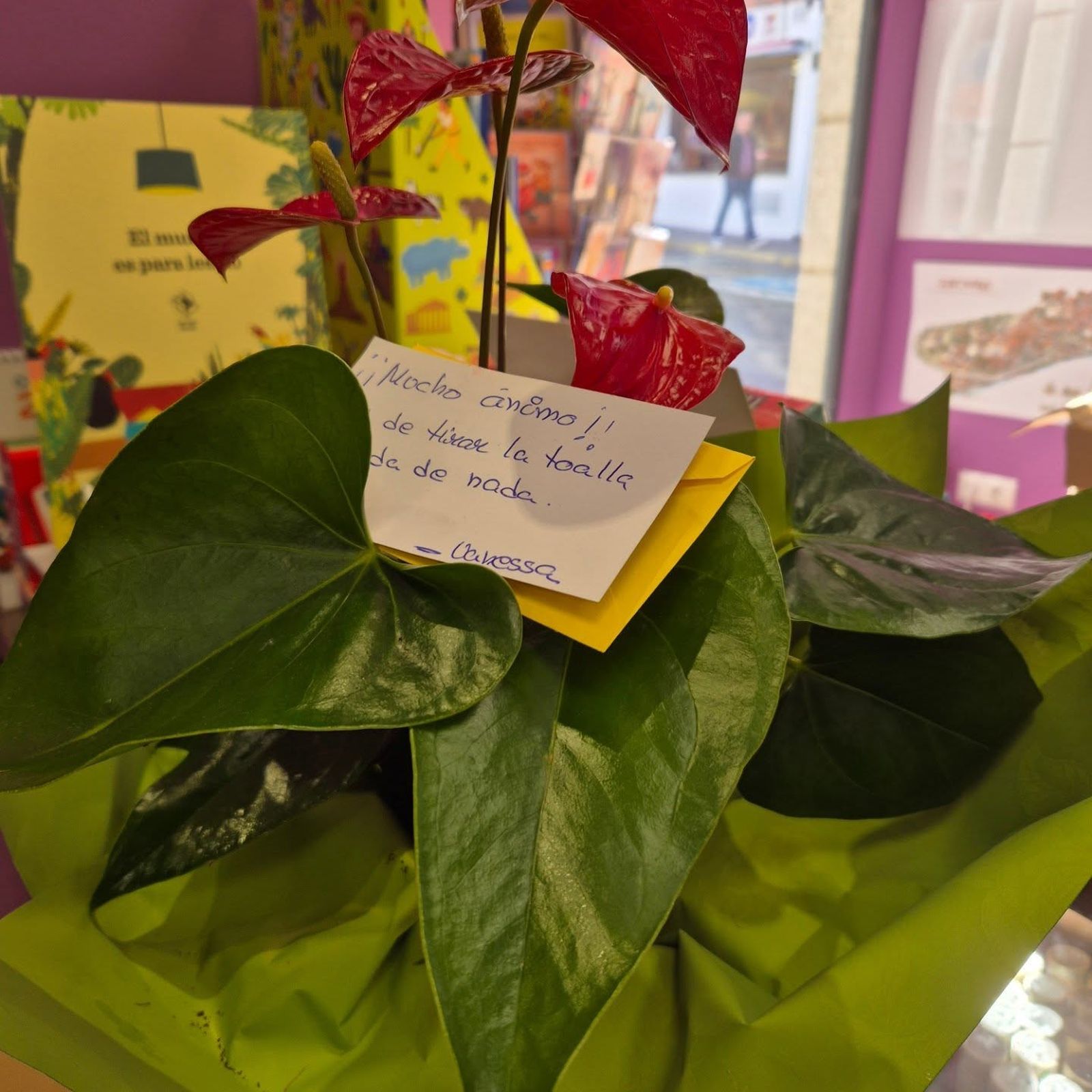 Imagen del regalo flora Librería Ler