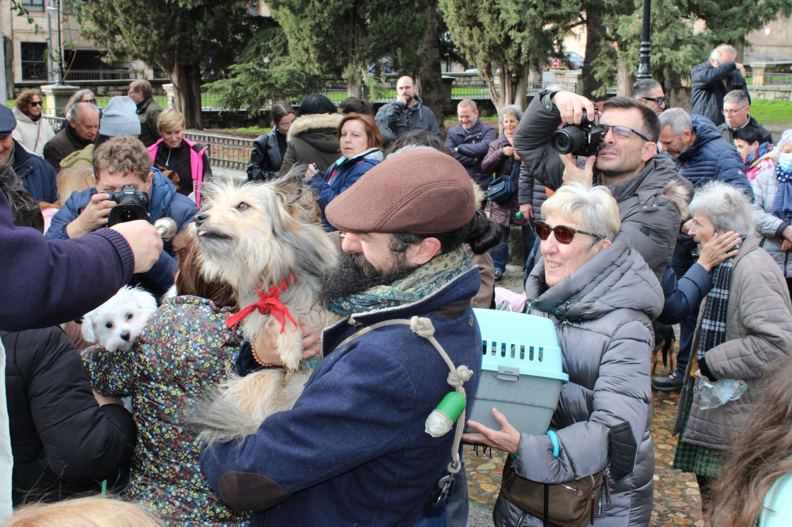 san-anton-bendicion-de-animales-2024-foto-s24h-91