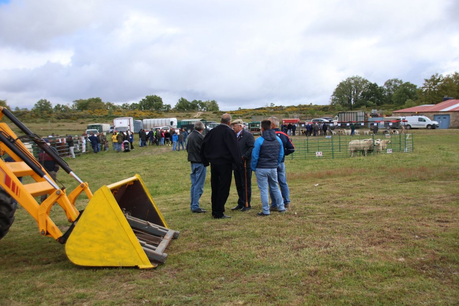 Inauguración Feria Ganadera de San Felipe en Barruecopardo