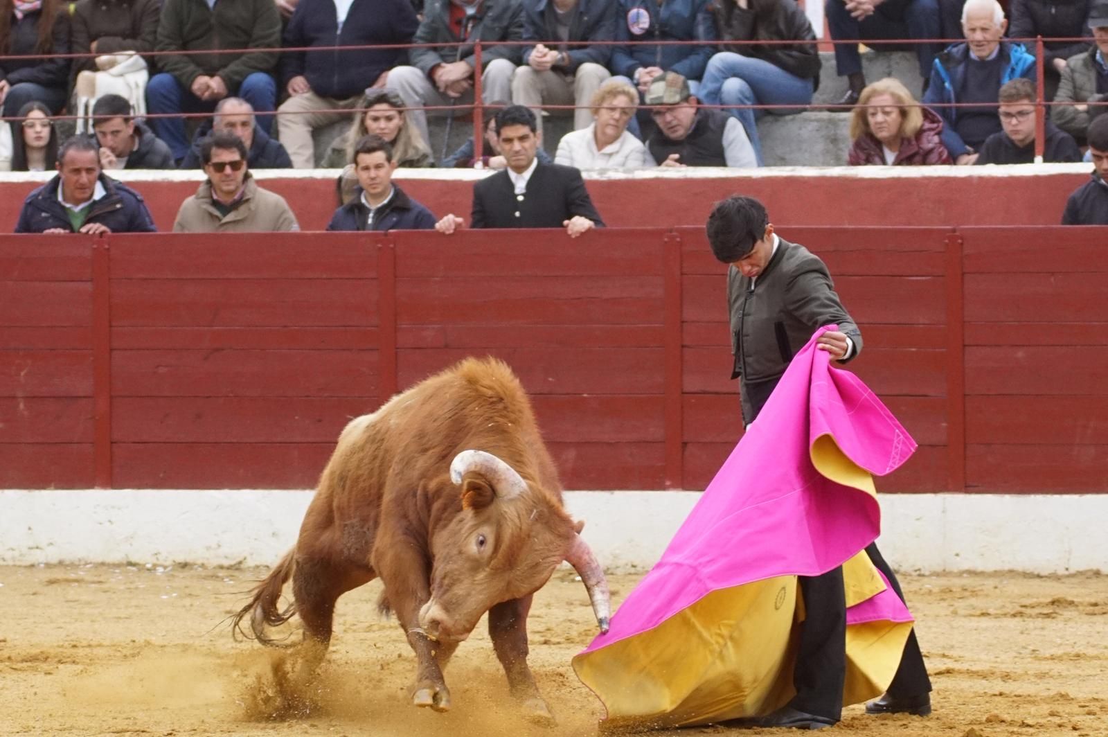 Festival taurino en Villoria