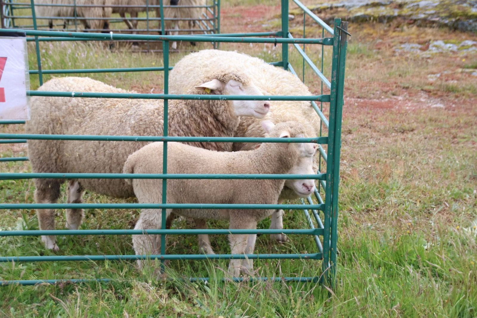 20240501103625-img-2933