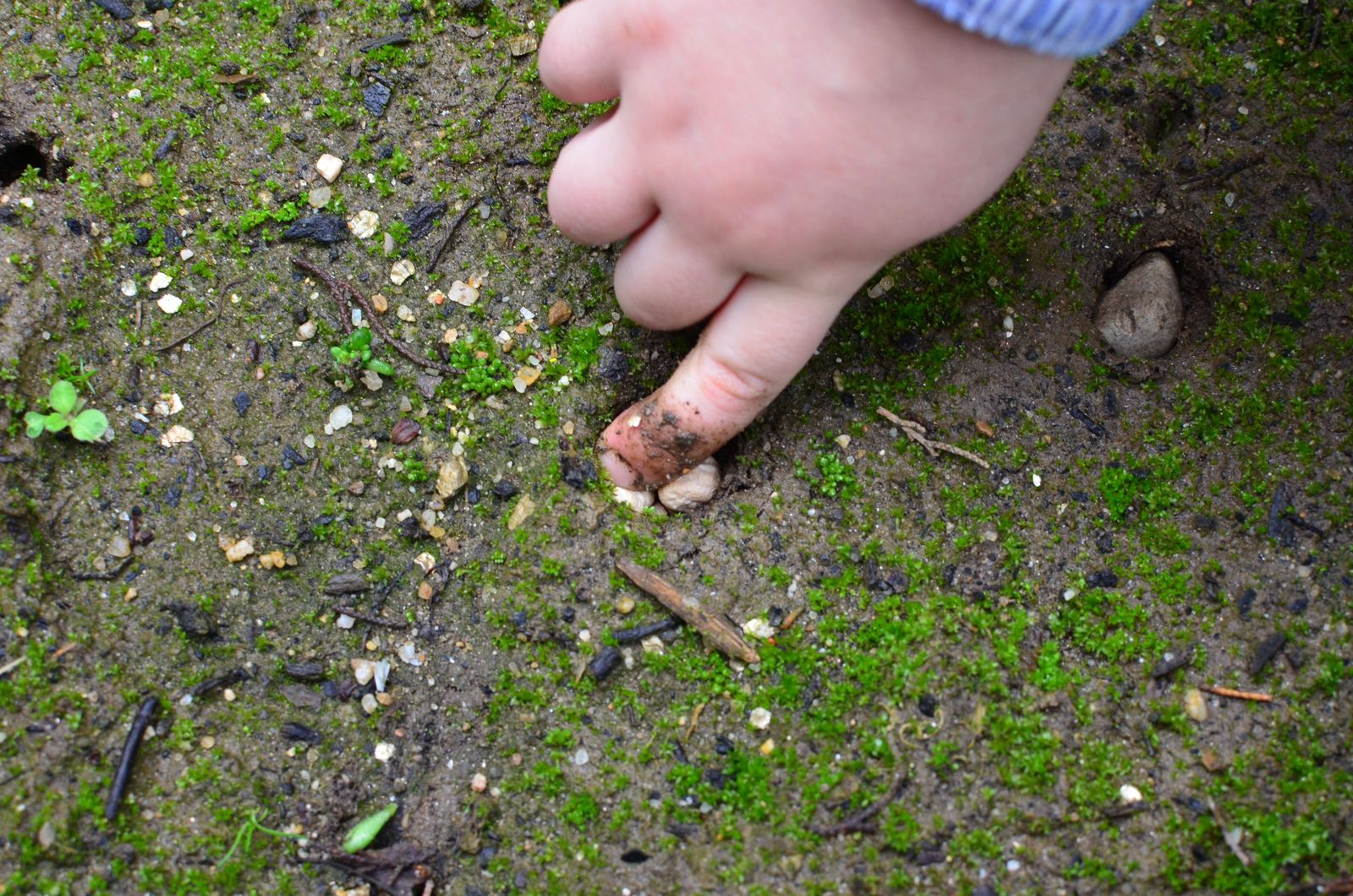 centro-sagrada-familia-siervas-de-san-jose-especial-ensenanza-2021-21