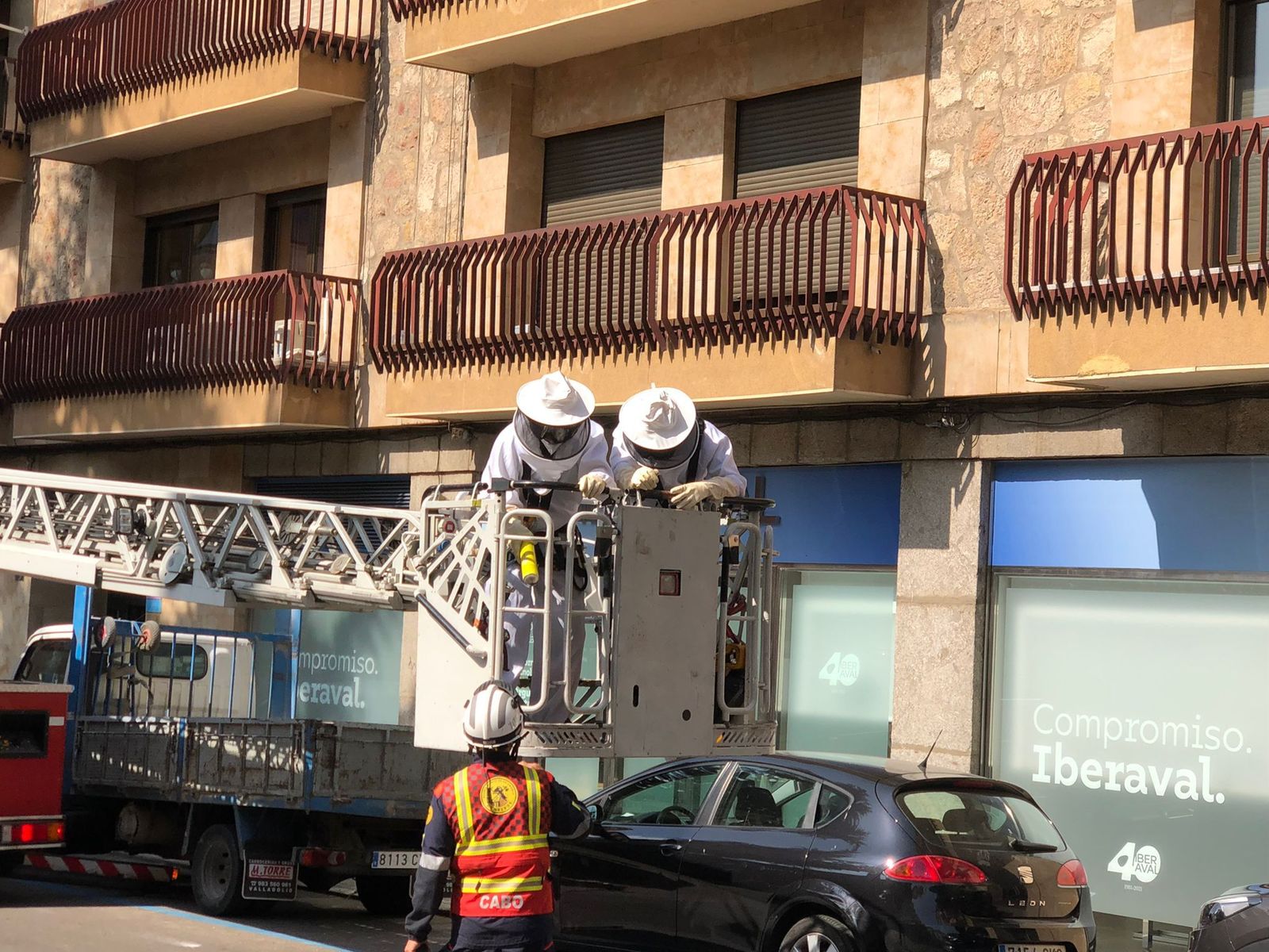 colmenas-en-crespo-rascon