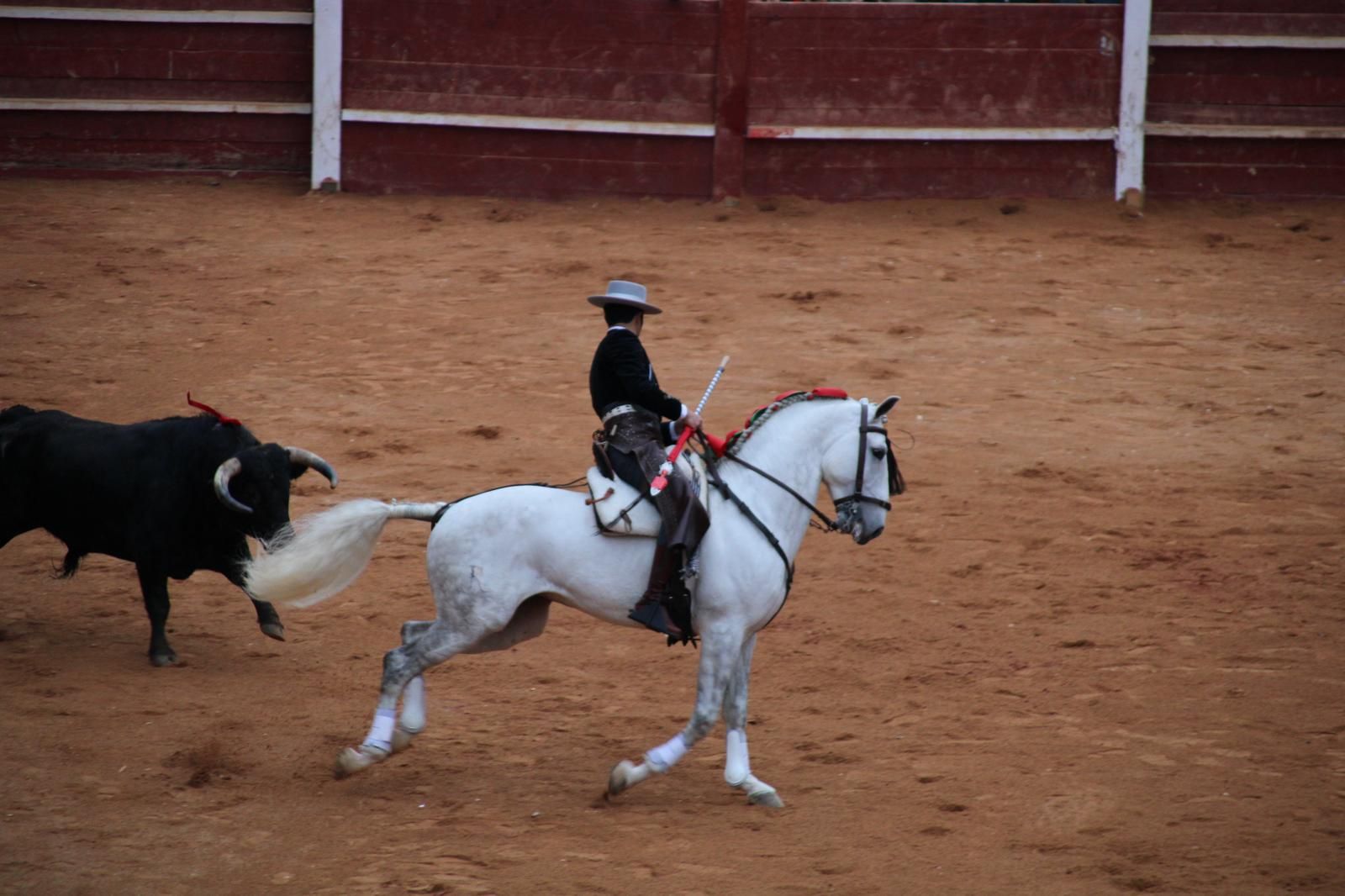 whatsapp-image-2025-03-02-at-18-55-48-1