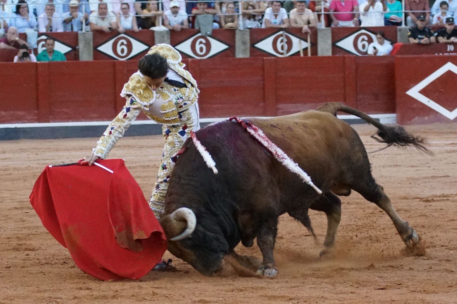 Emilio de Justo, Juan Ortega y Roca Rey inauguran el cartel de figuras en la feria de Salamanca: la corrida de Garcigrande en imágenes