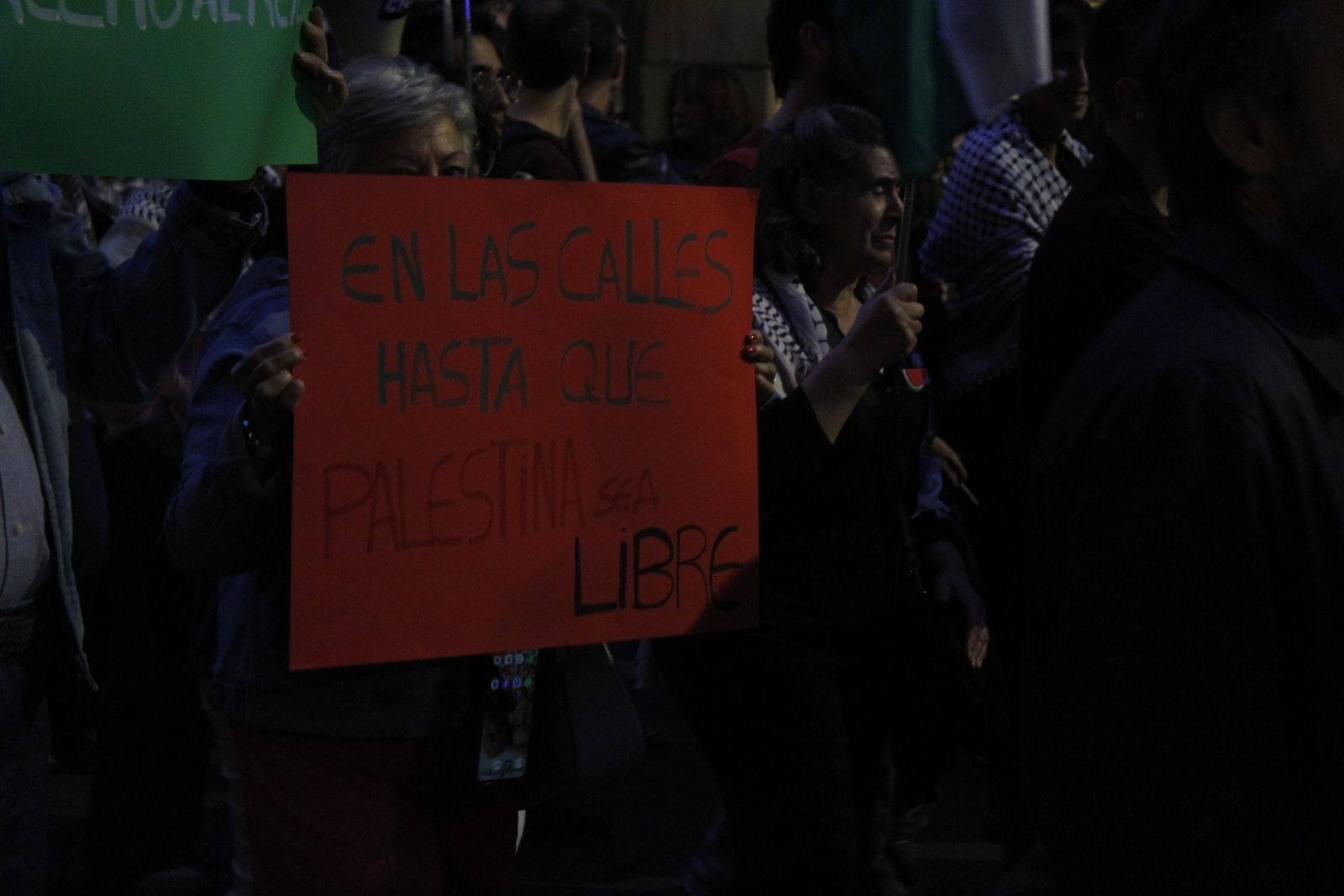 Manifestación por Palestina