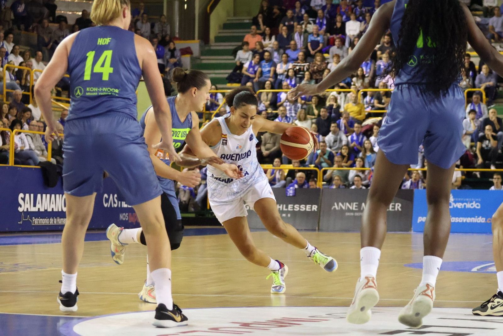 20231025193826-img-5215