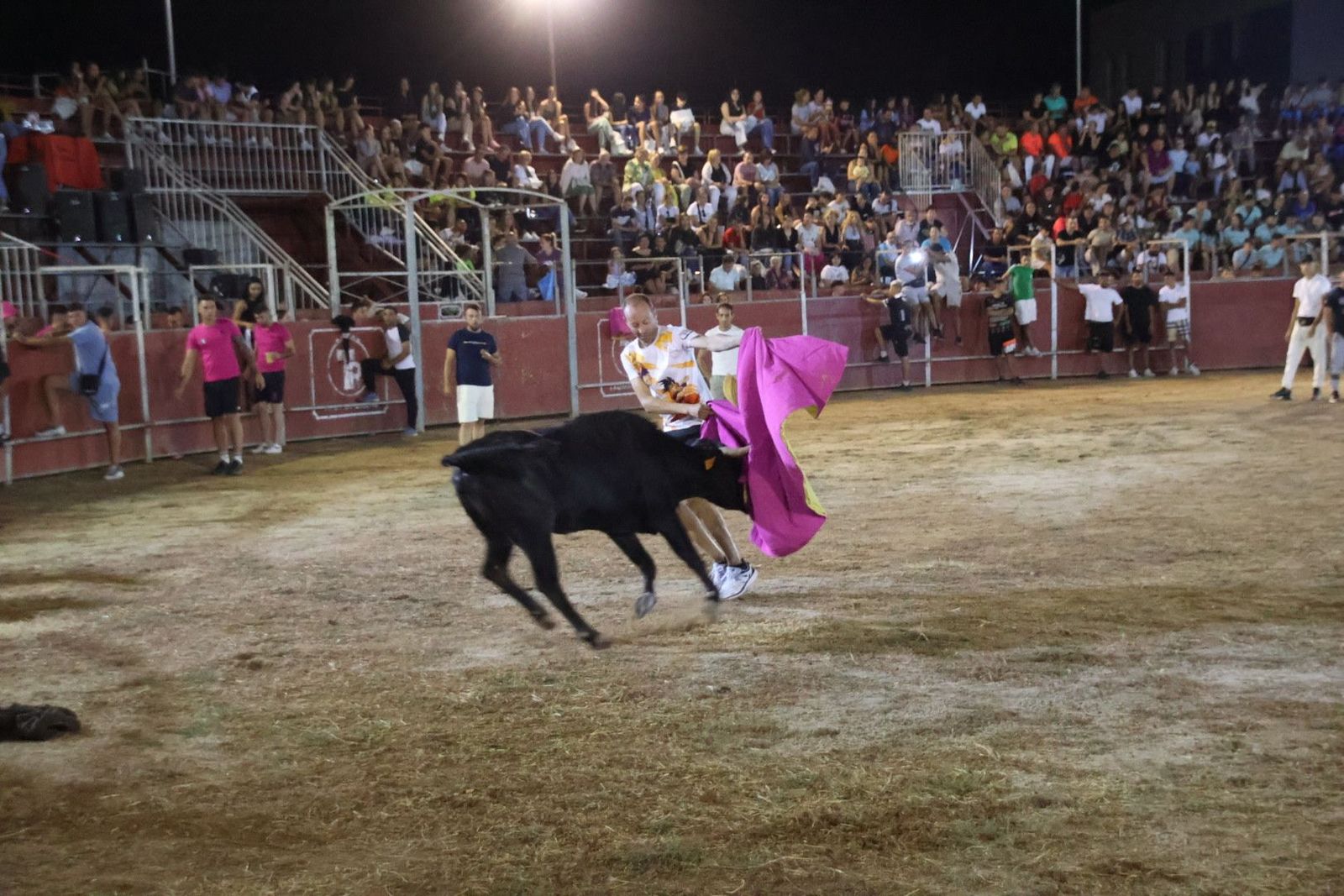 20240815212556-img-3739