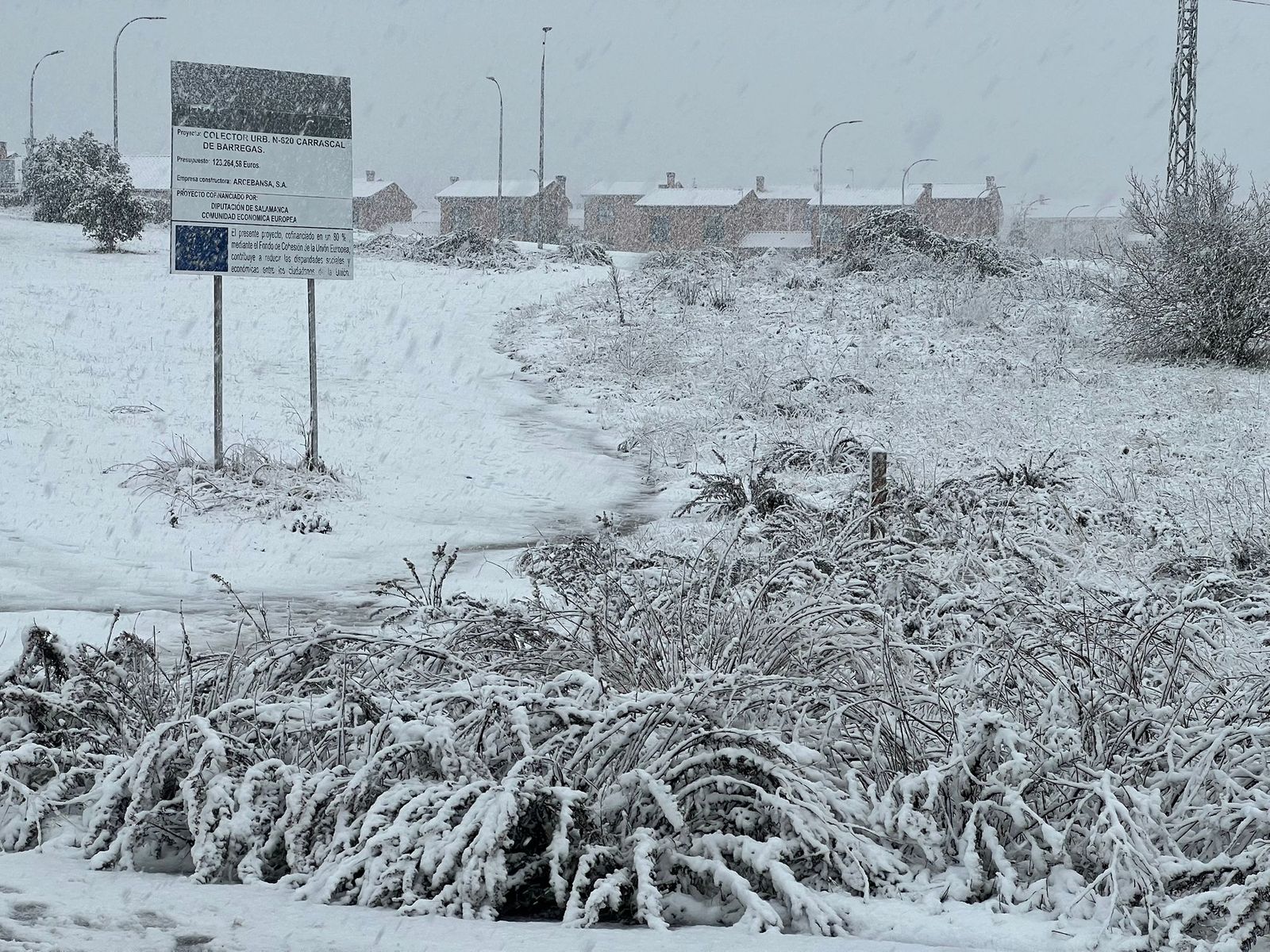 Nevada en Salamanca 28 de enero 2026