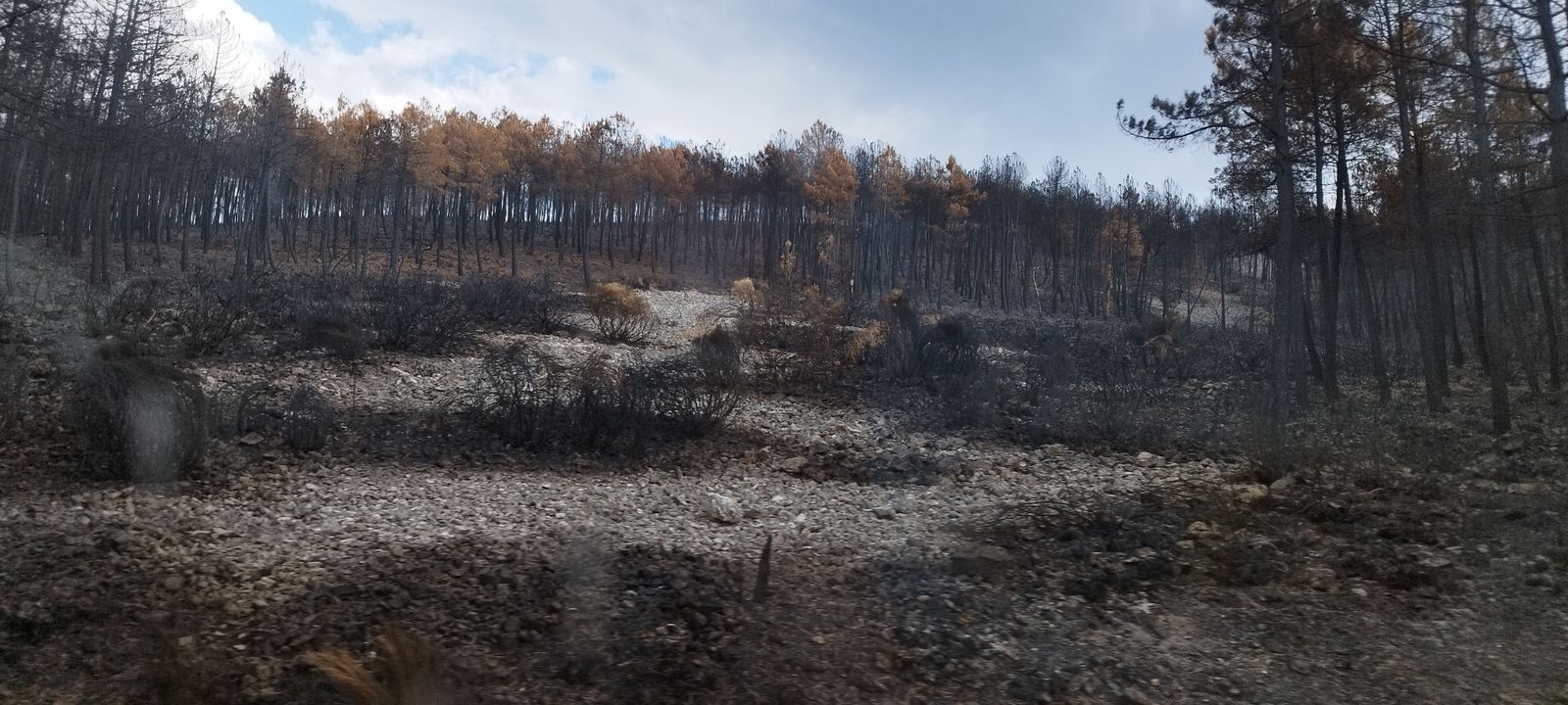 Incendio de Monsagro. Foto S24H