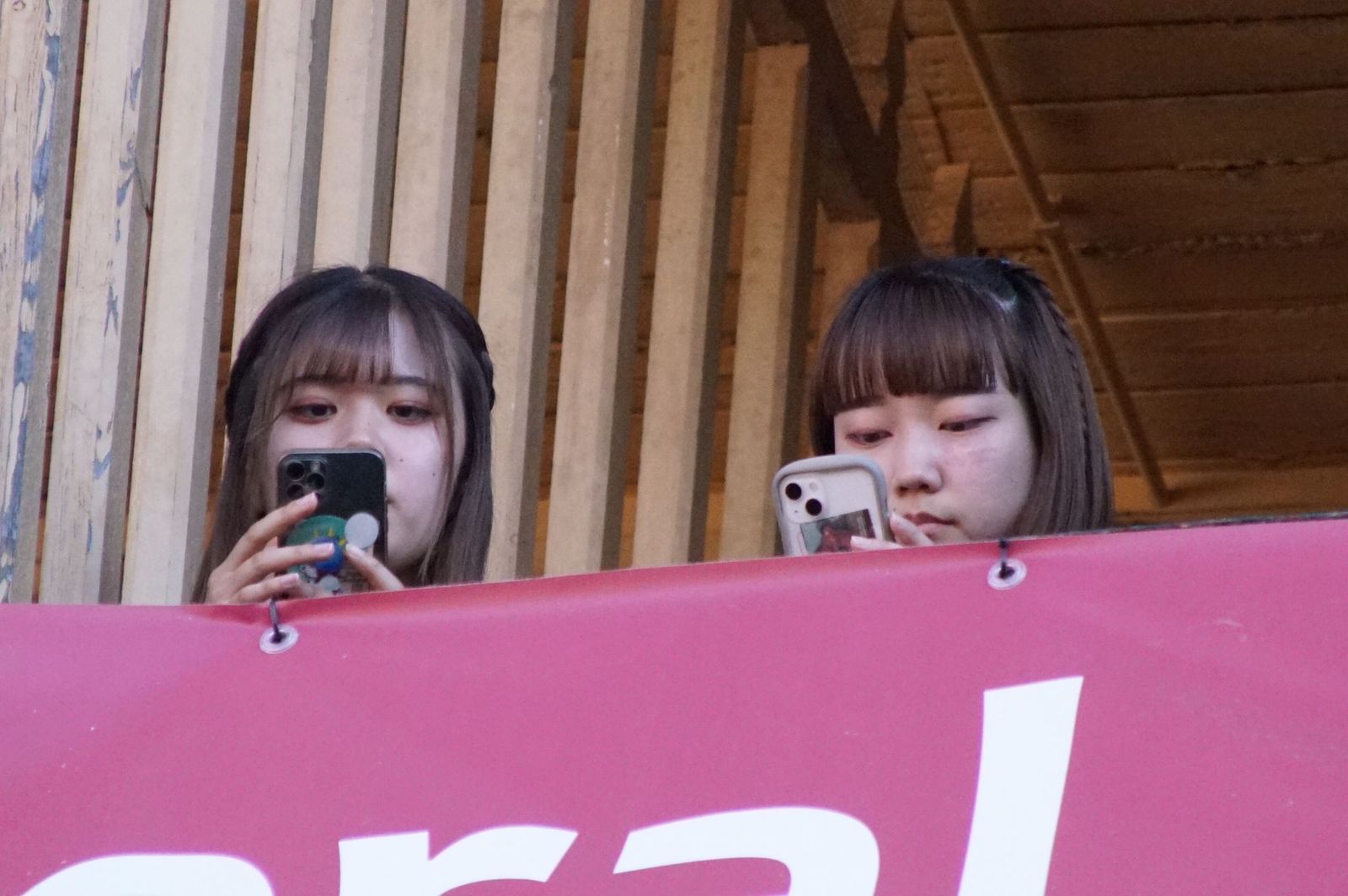 whatsapp-image-2022-09-16-at-8-01-55-pm