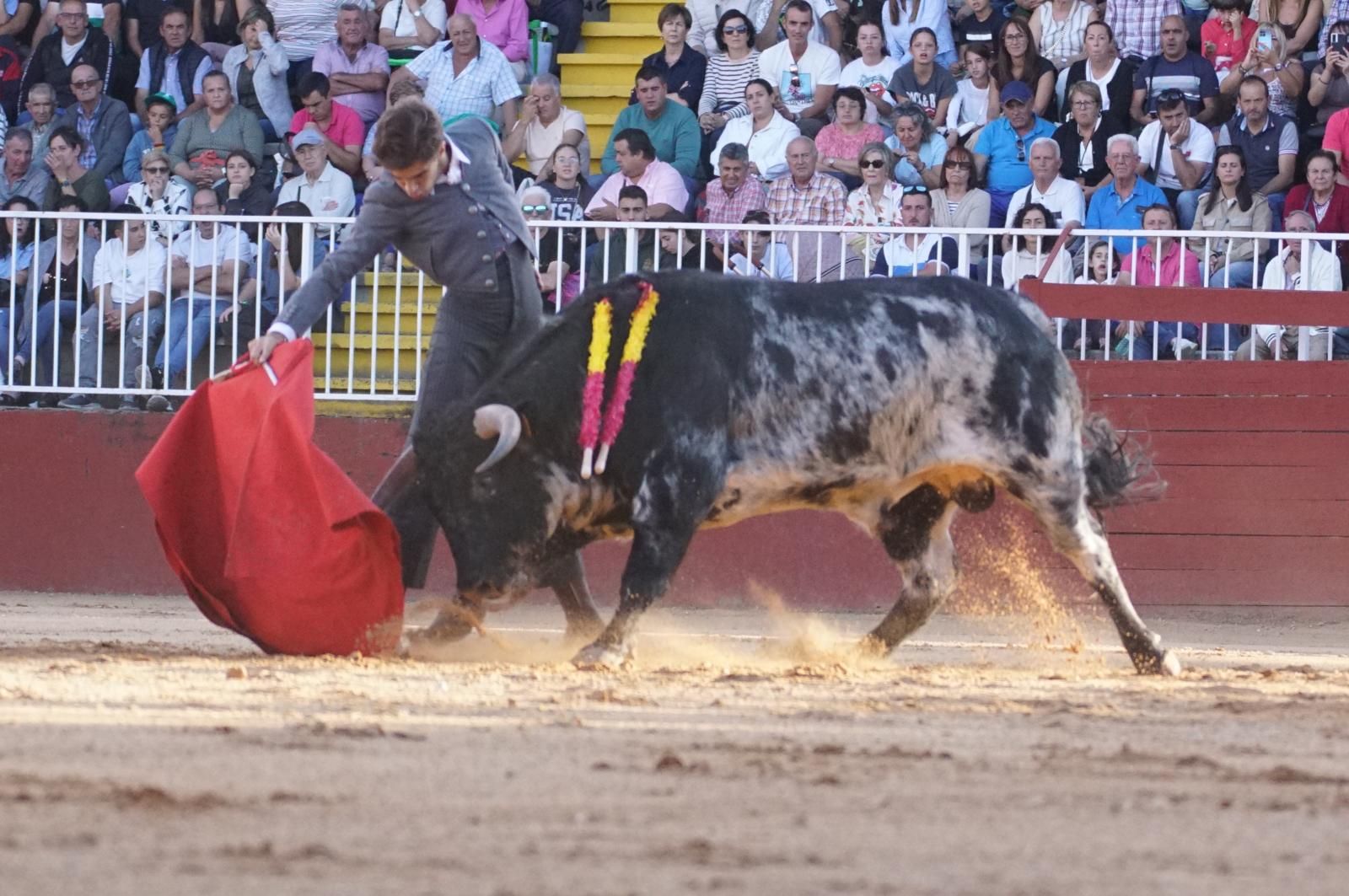 whatsapp-image-2024-09-07-at-20-48-36-2