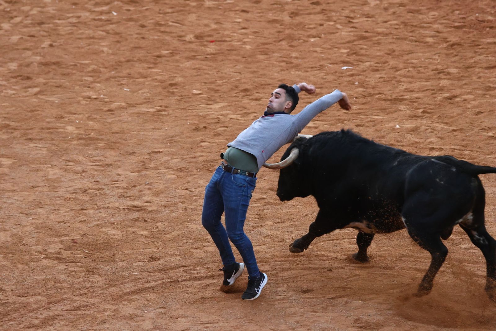 Capea de martes por la tarde en el Carnaval del Toro 2026