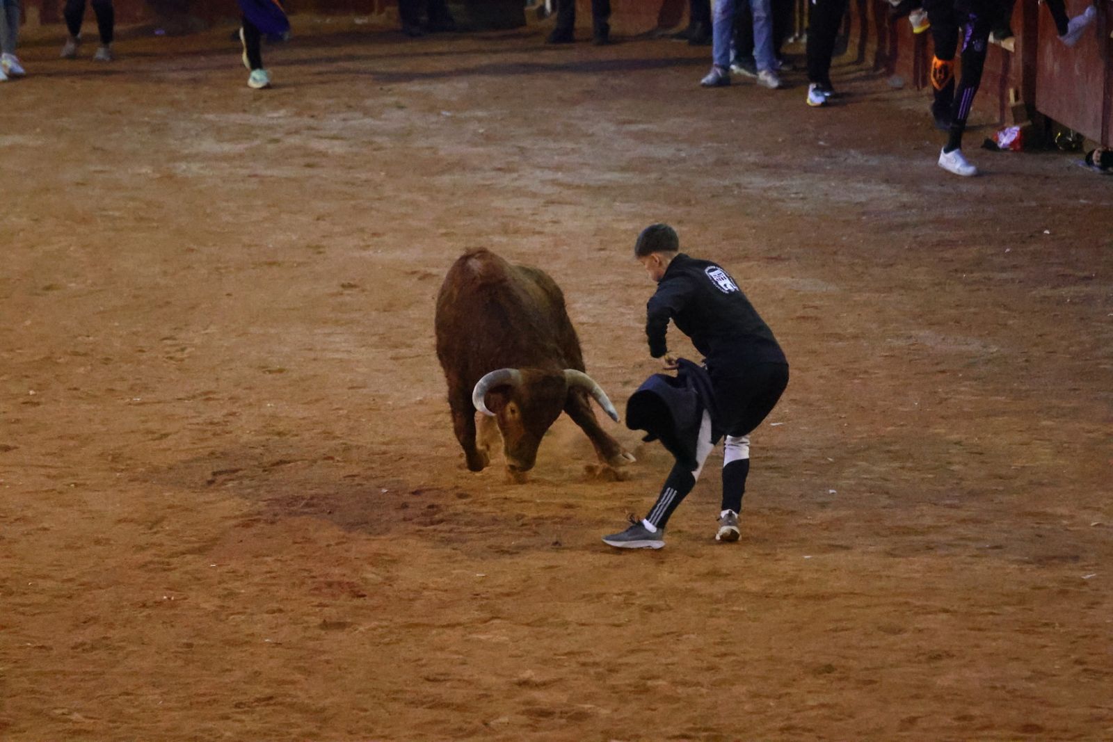 Capea de martes por la tarde en el Carnaval del Toro 2026