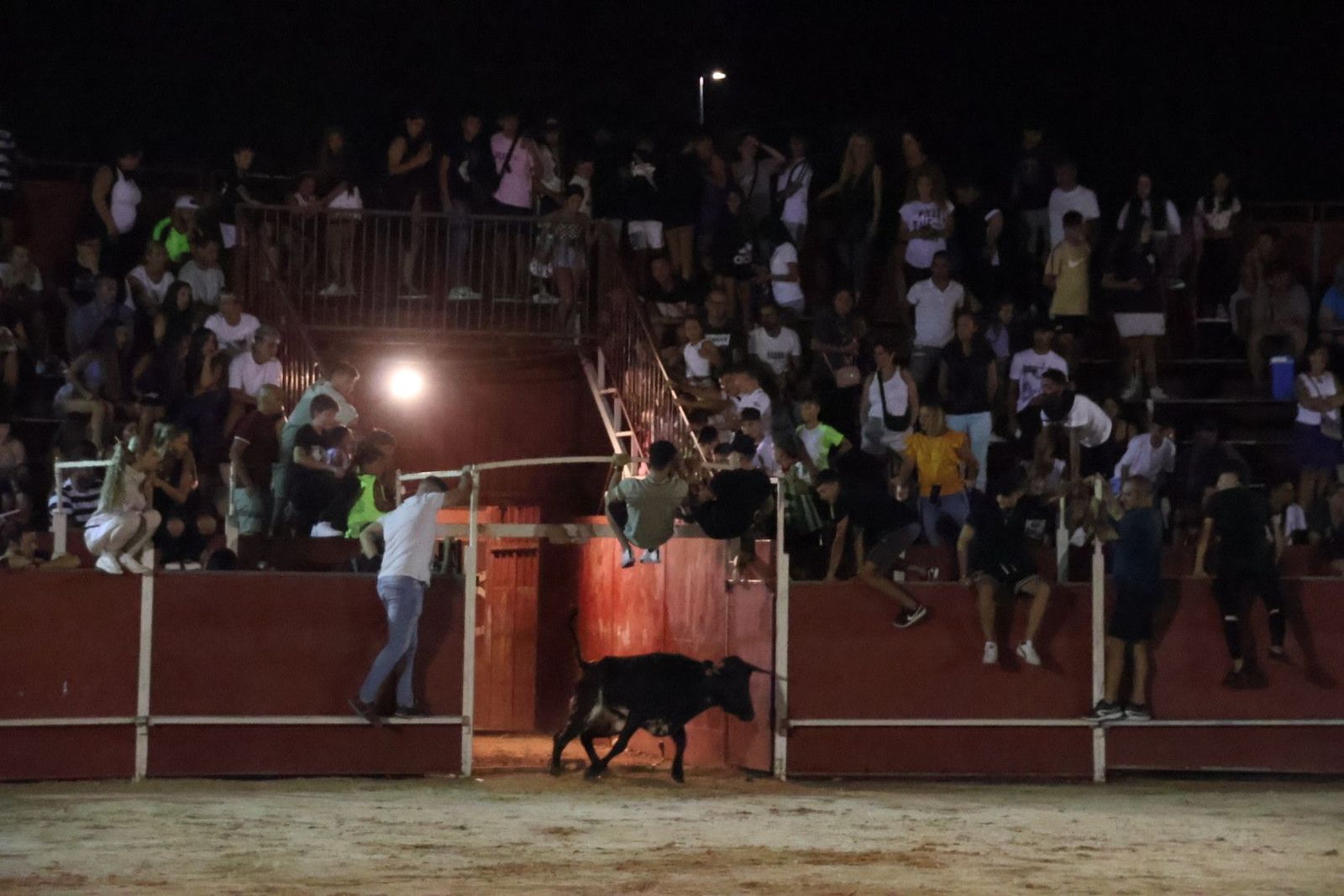 20230814221124-img-2267