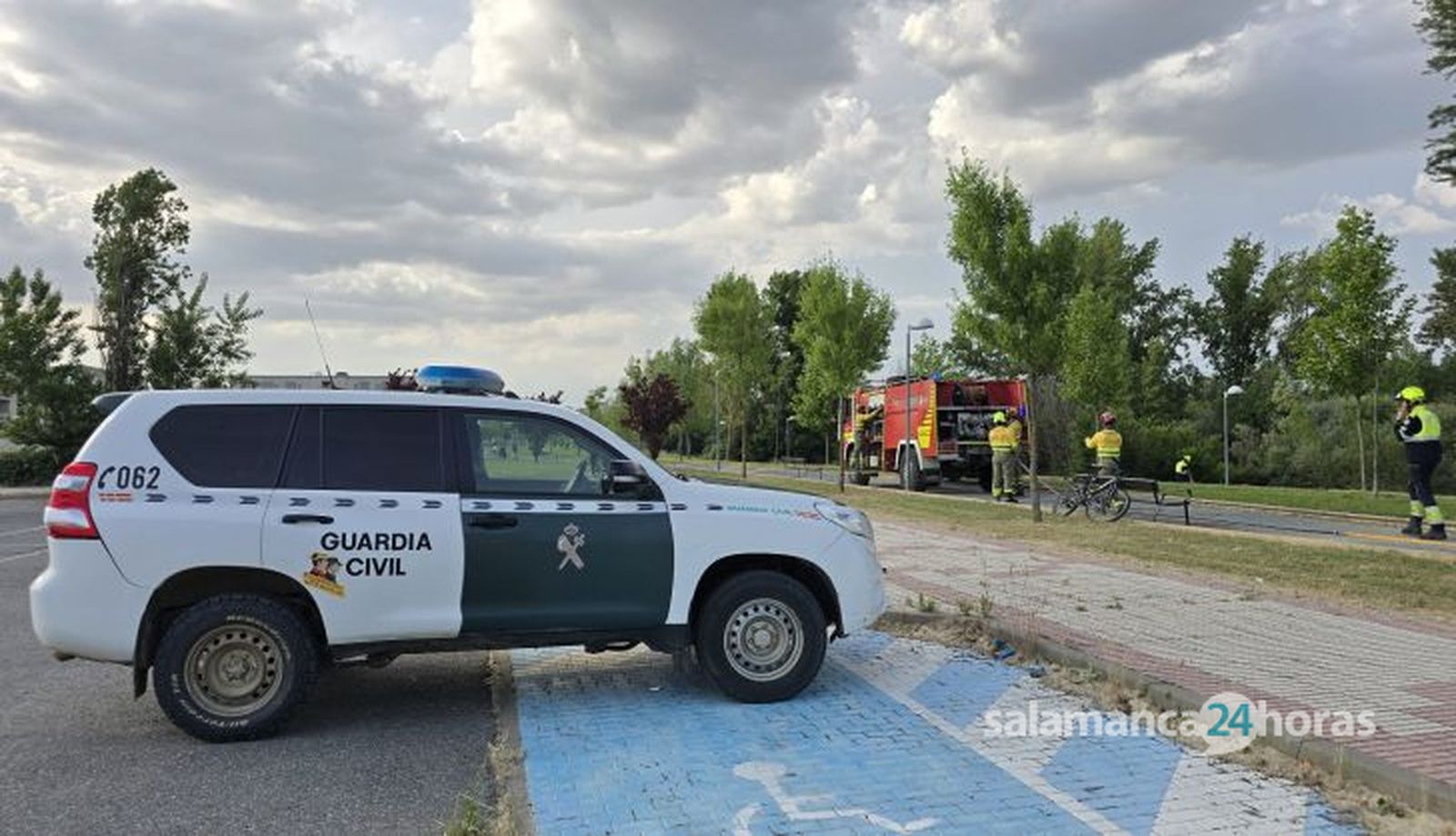 Incendio de vegetación en la Isla del Soto. Foto Andrea M. 