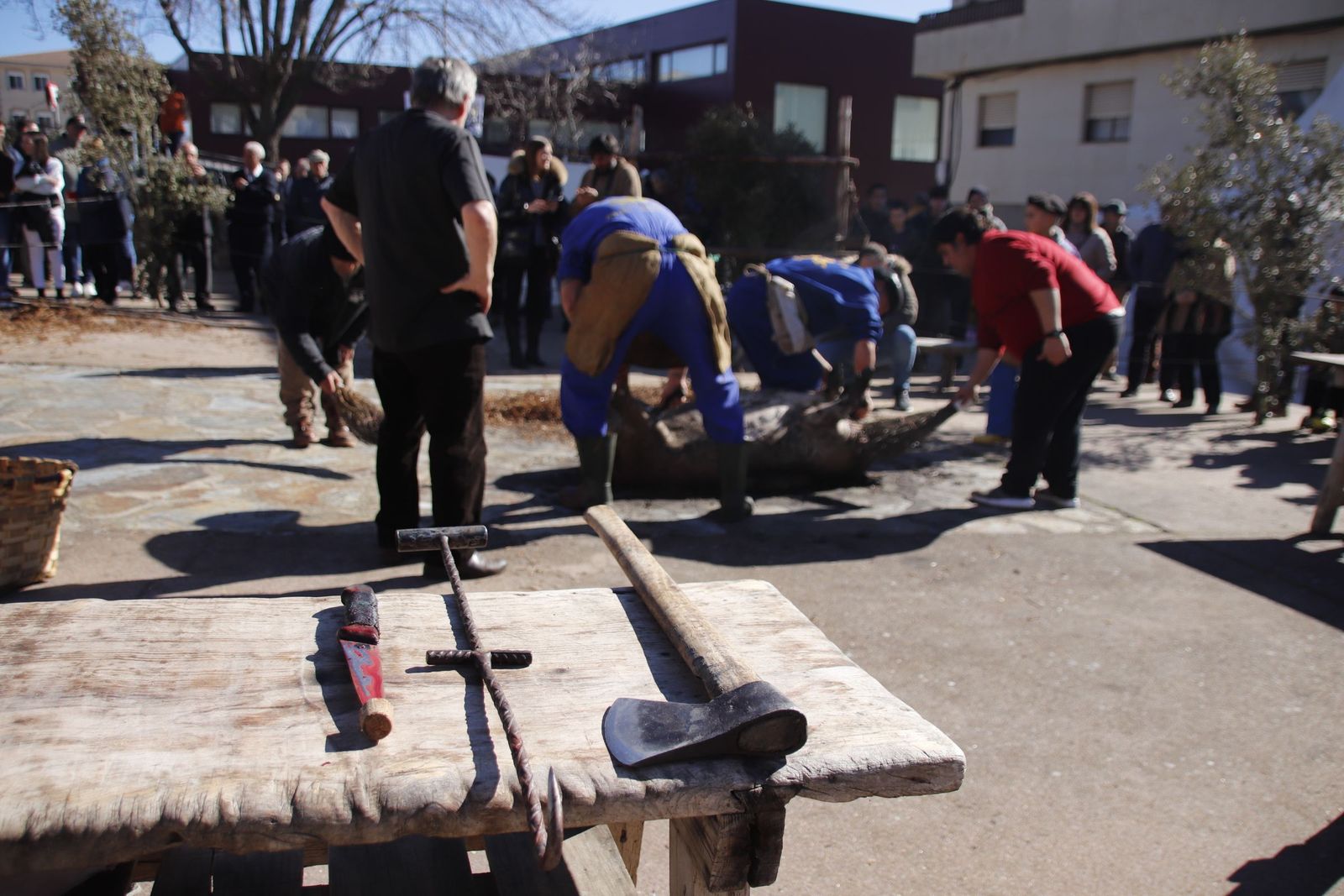 20230204131118-mg-5016