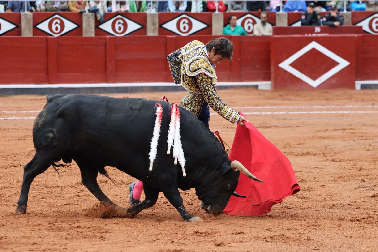 20230916182201-img-5514