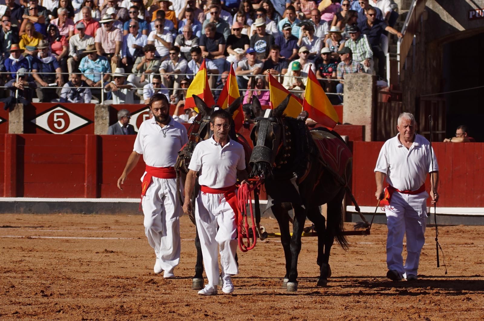 whatsapp-image-2024-09-14-at-20-09-52-2