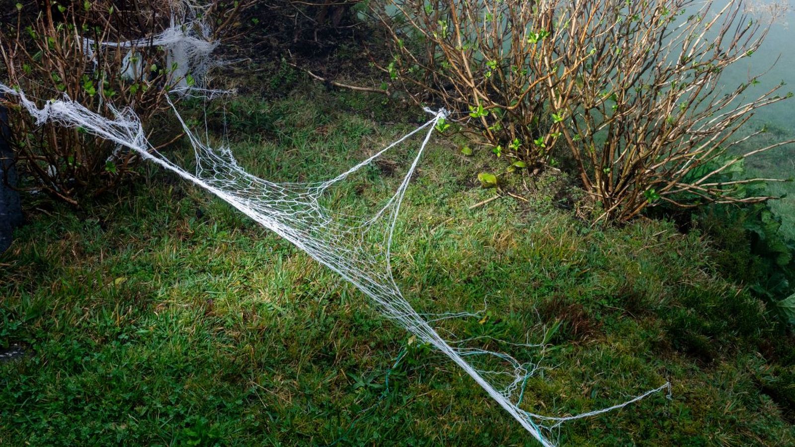 Fotografía de Valter Vinagre que se podrá visitar en la exposición
