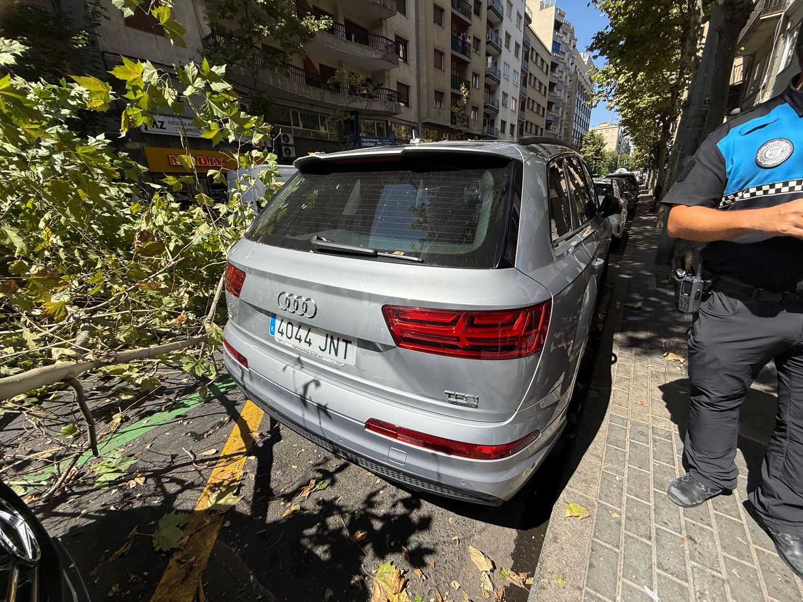 Un árbol cae sobre varios coches en Torres Villarroel