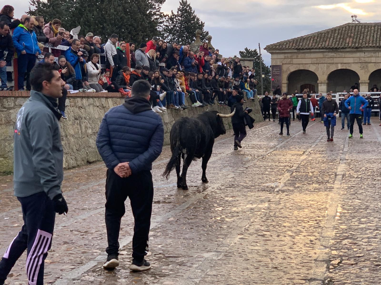 toro-del-aguardiente-en-ciudad-rodrigo-carnaval-24-28