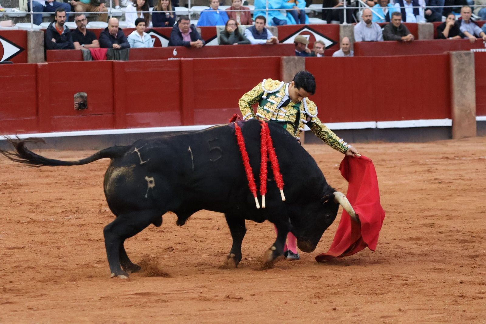 20230915192507-img-4366