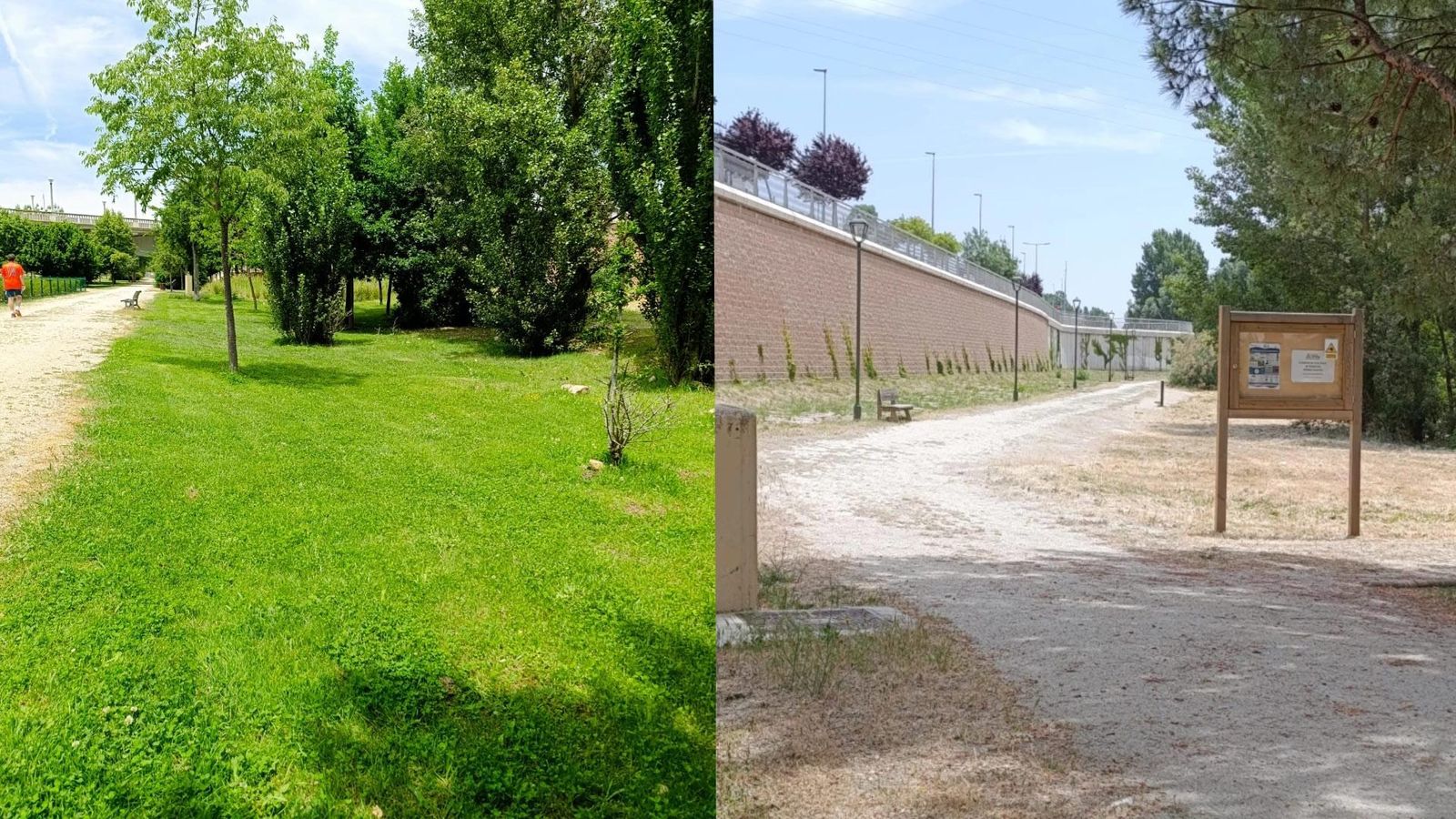 FOTODENUNCIA | Vecinos de Huerta Otea reclaman el diferentes estado entre la zona para perros y el parque en sí FOTODENUNCIA | Vecinos de Huerta Otea reclaman el diferentes estado entre la zona para perros y el parque en sí