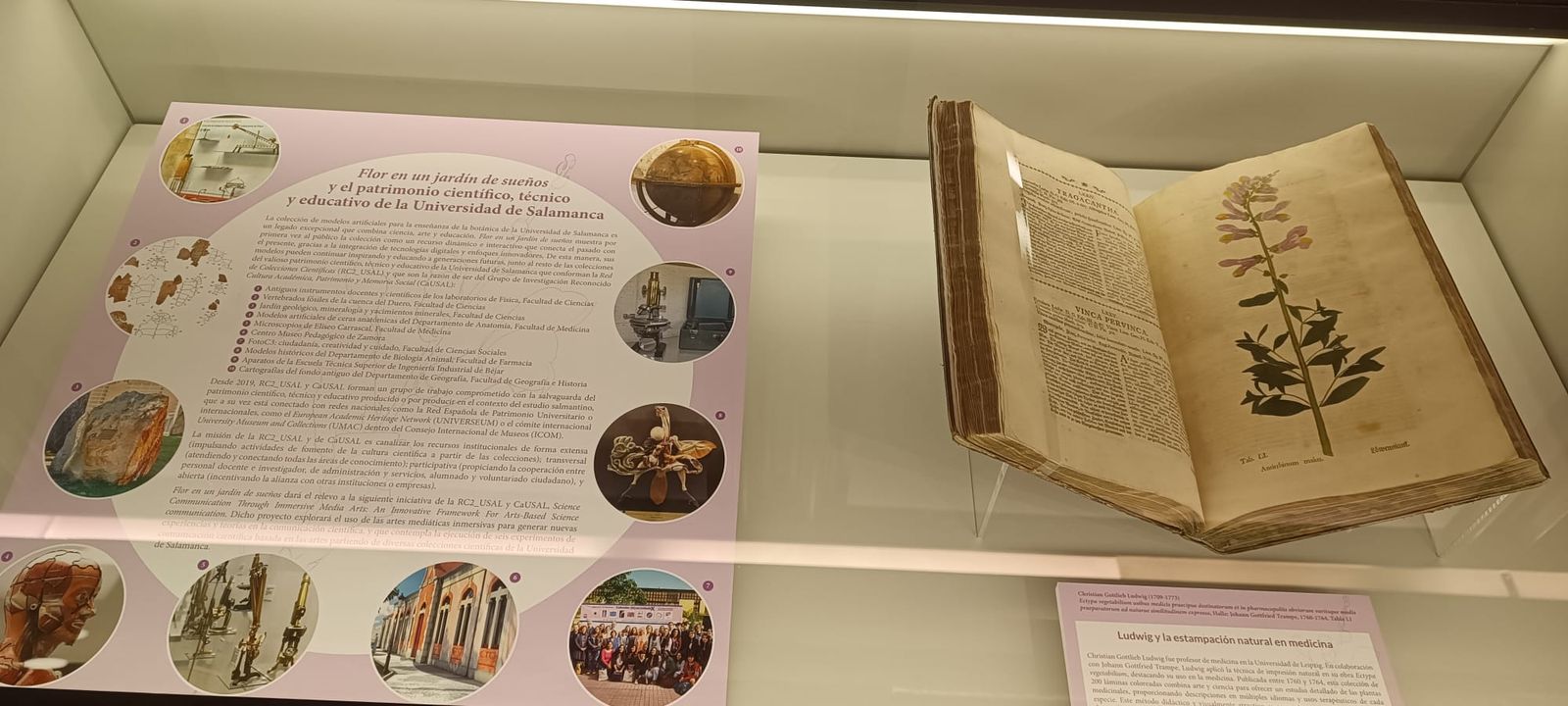 exposicion-botanica-11