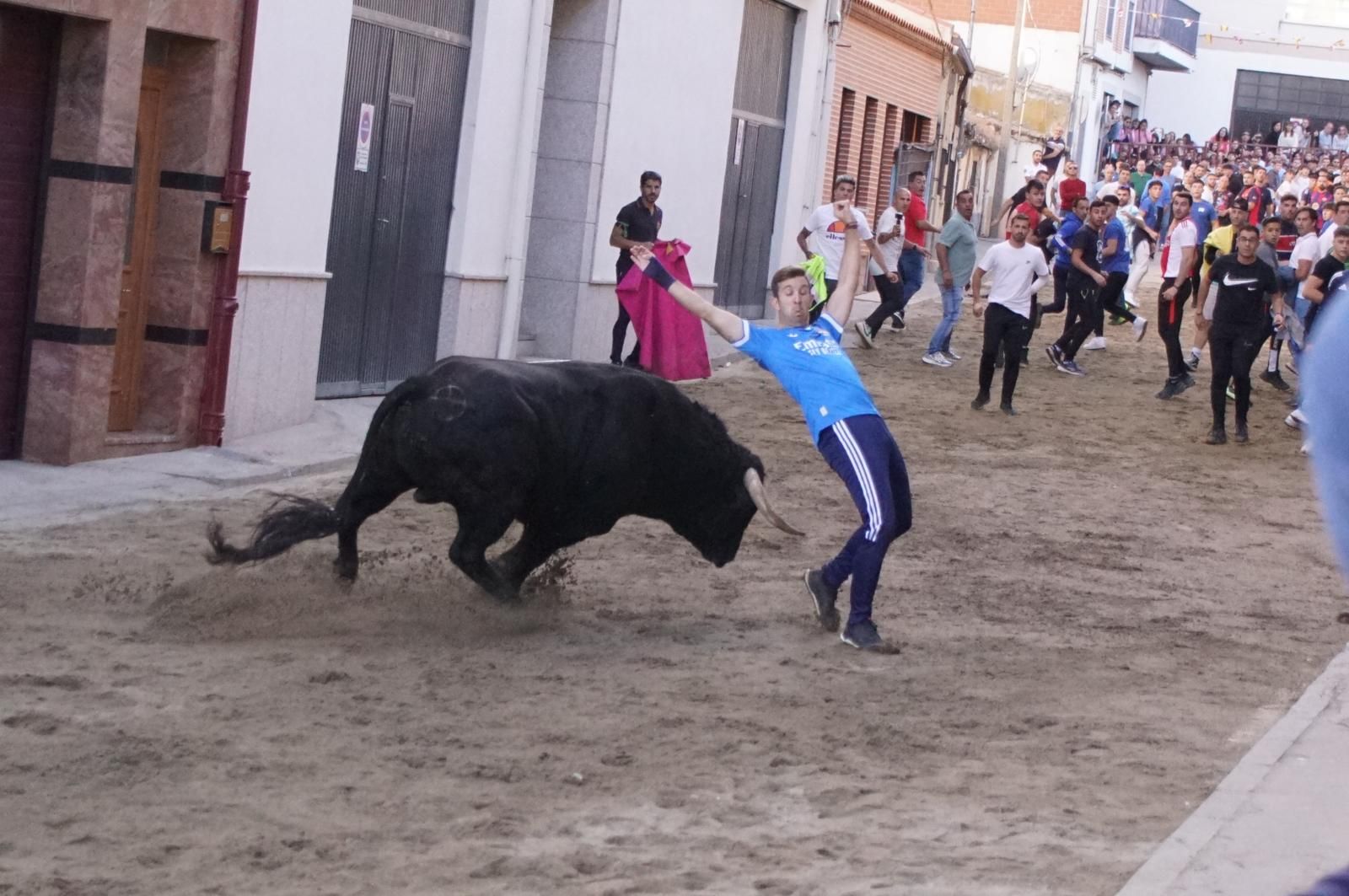 Toro del cajón y capea en Alba de Tormes