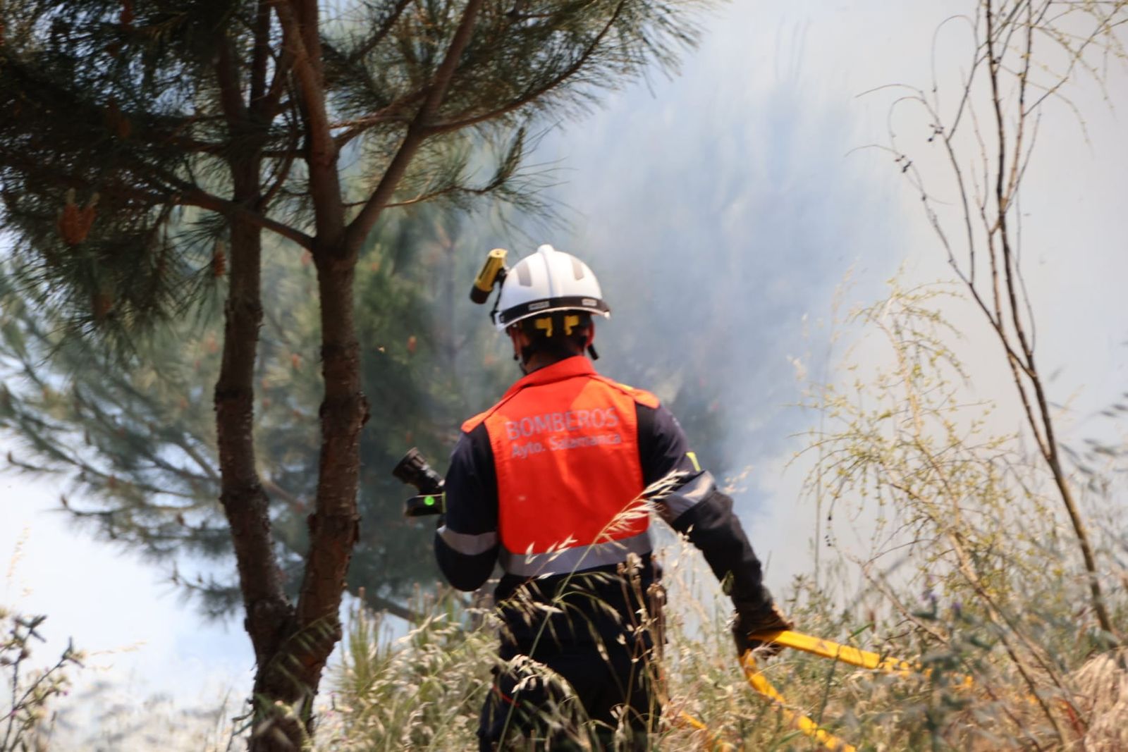 Incendio de pasto en los entornos de la avenida de La Aldehuela