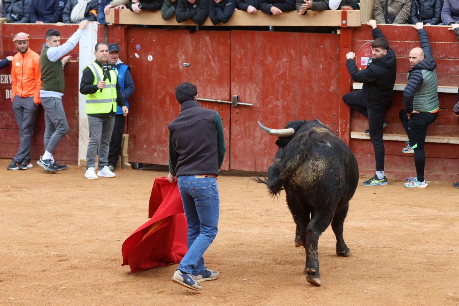 Mañana de capea de lunes en el Carnaval del Toro 2026
