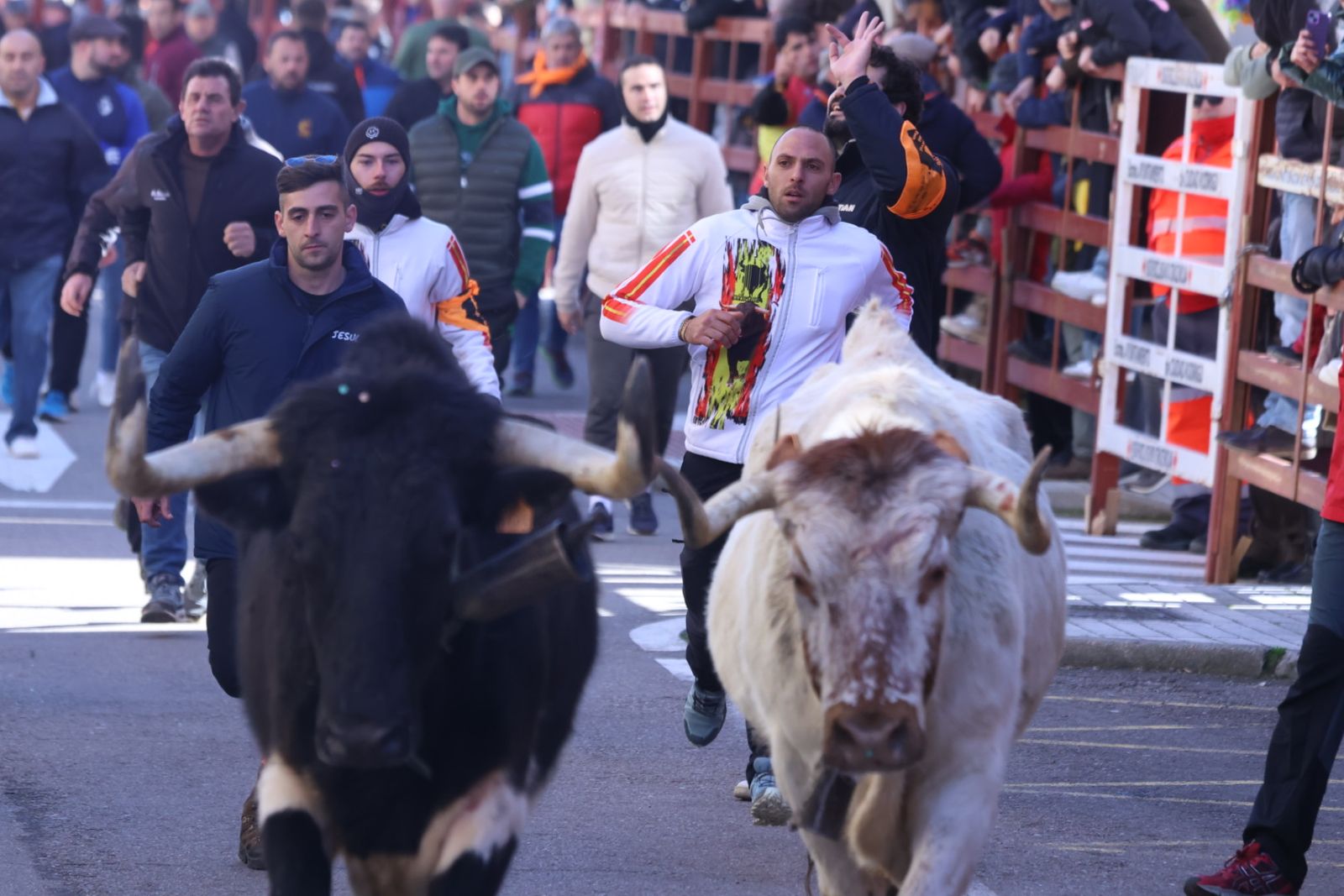 Encierro de sábado en el Carnaval del toro 2026 de Ciudad Rodrigo