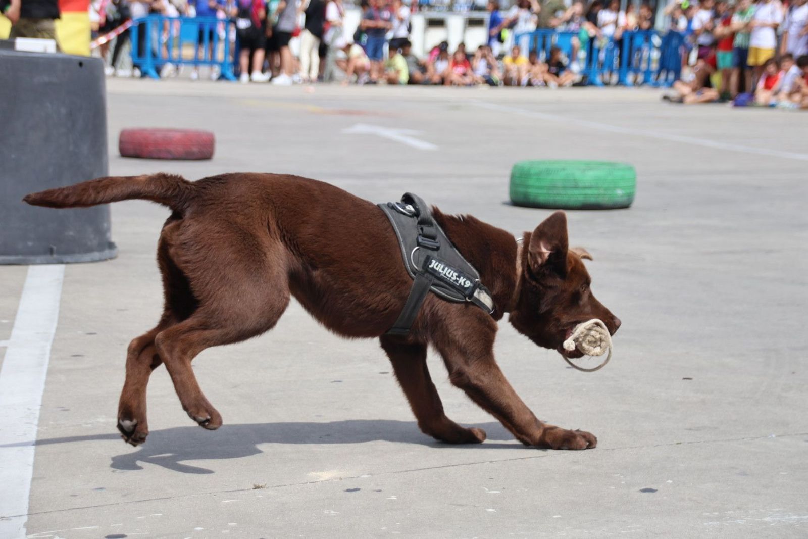 20240606111111-img-5557