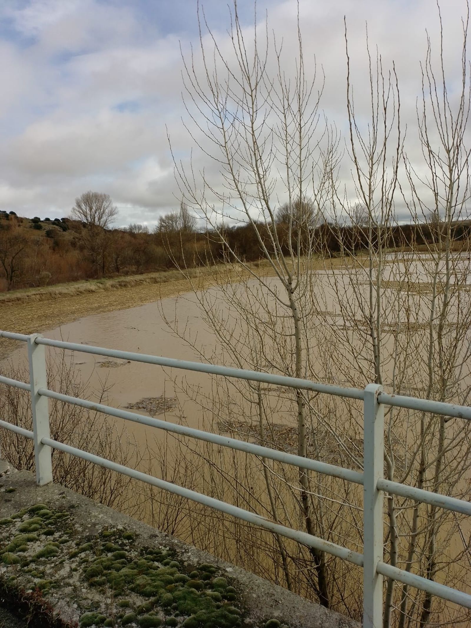 Garcihérnandez, el río Gamo se desborda (6).jpeg