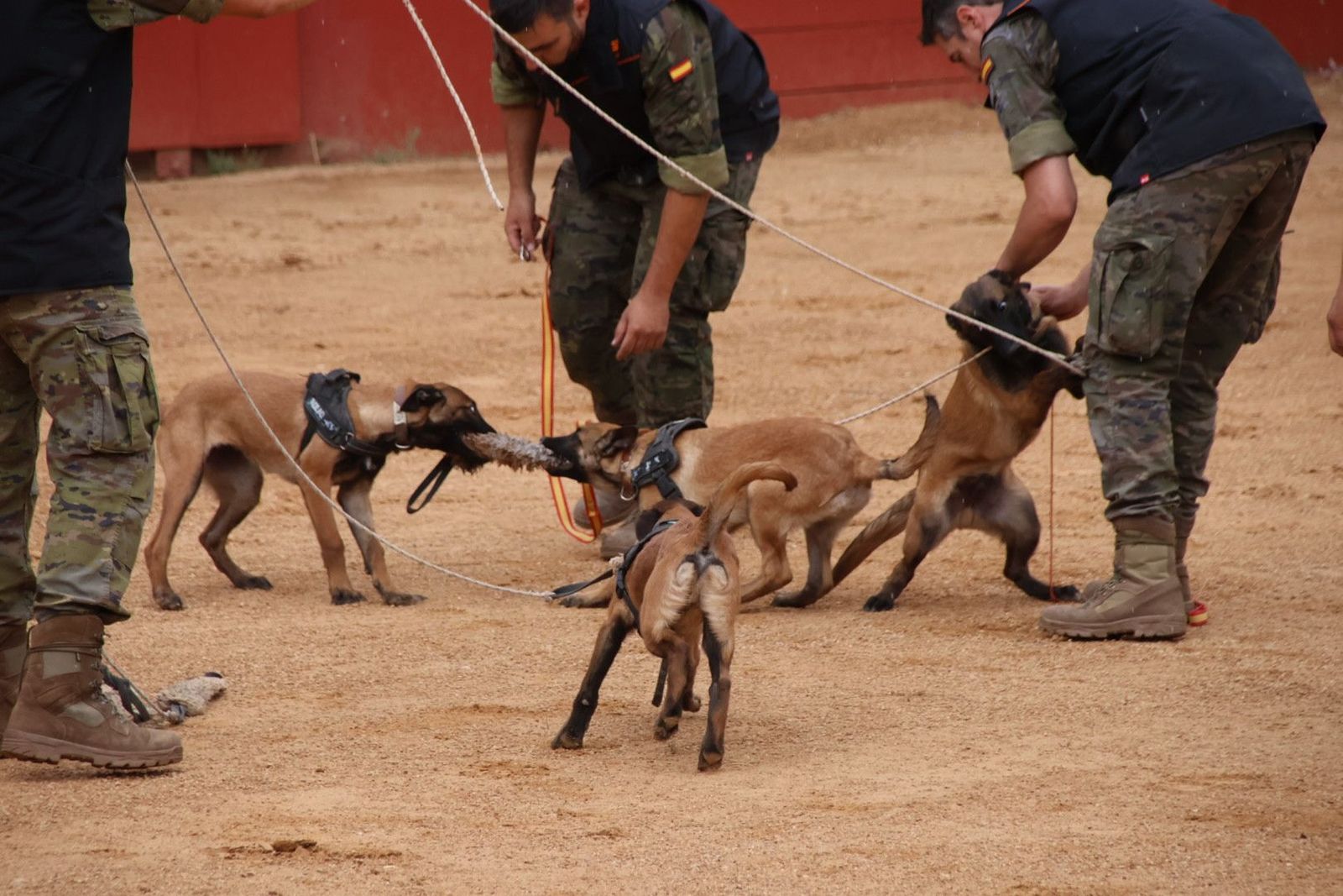 20230902114027-img-7167