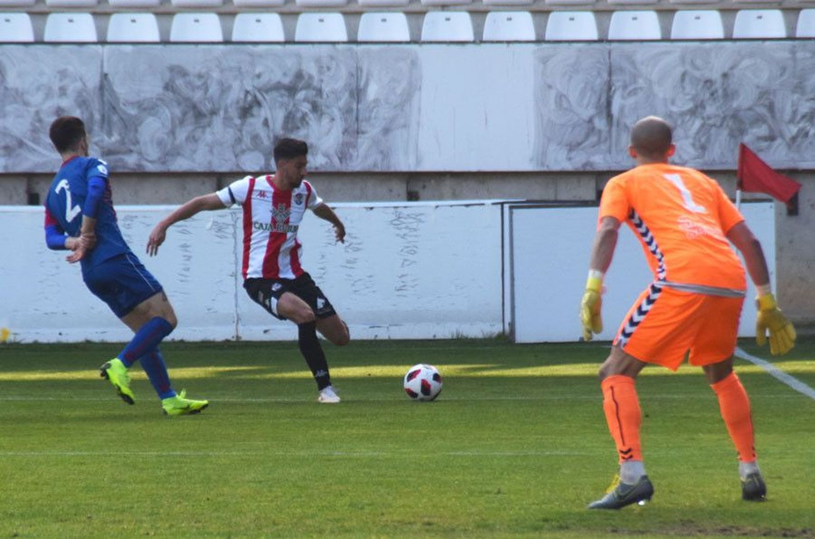 Coque segoviana zamora