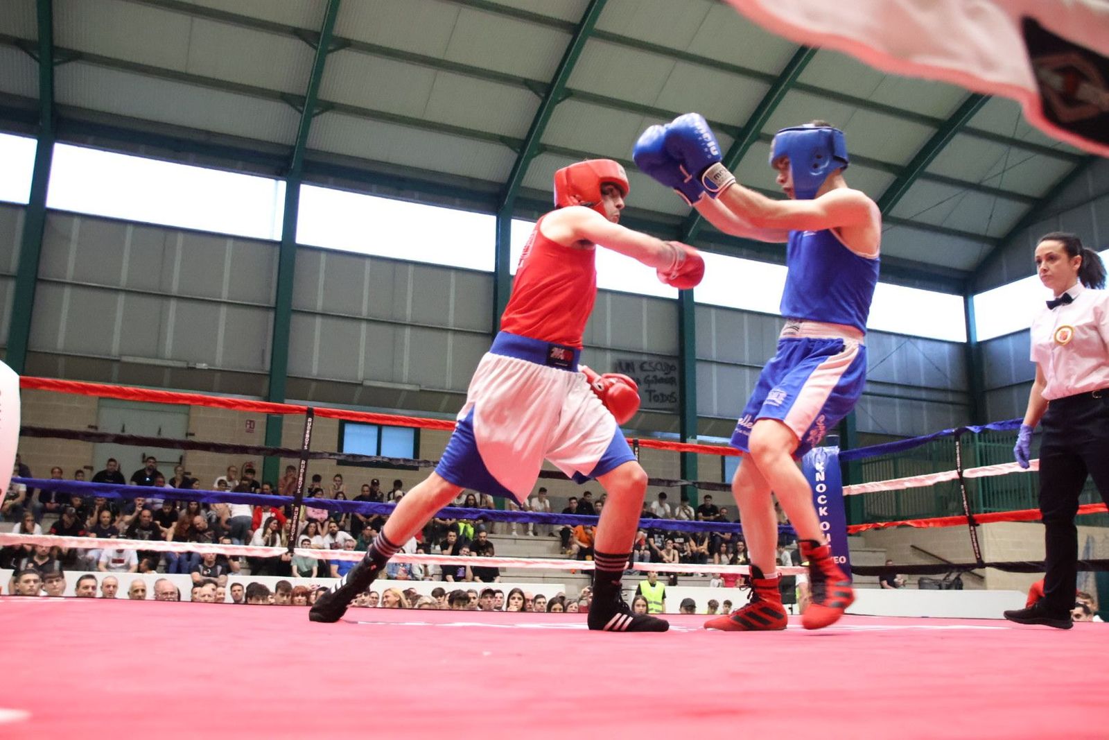 20240413200215-img-8676