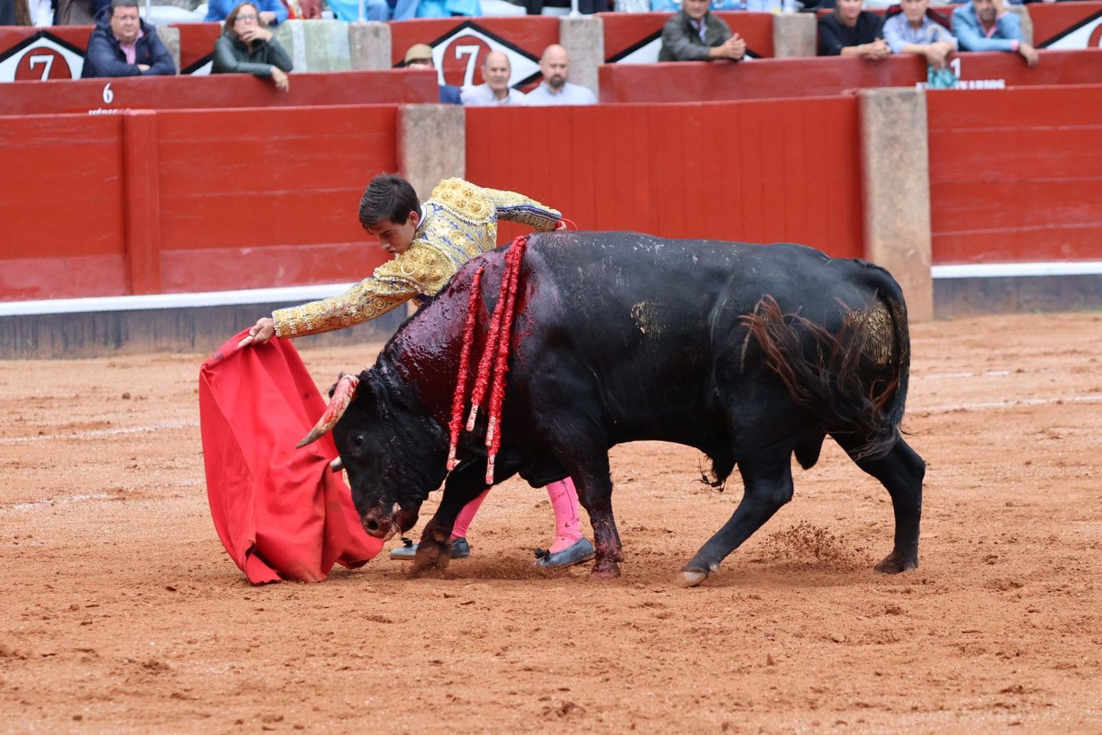 20230915174835-img-4012