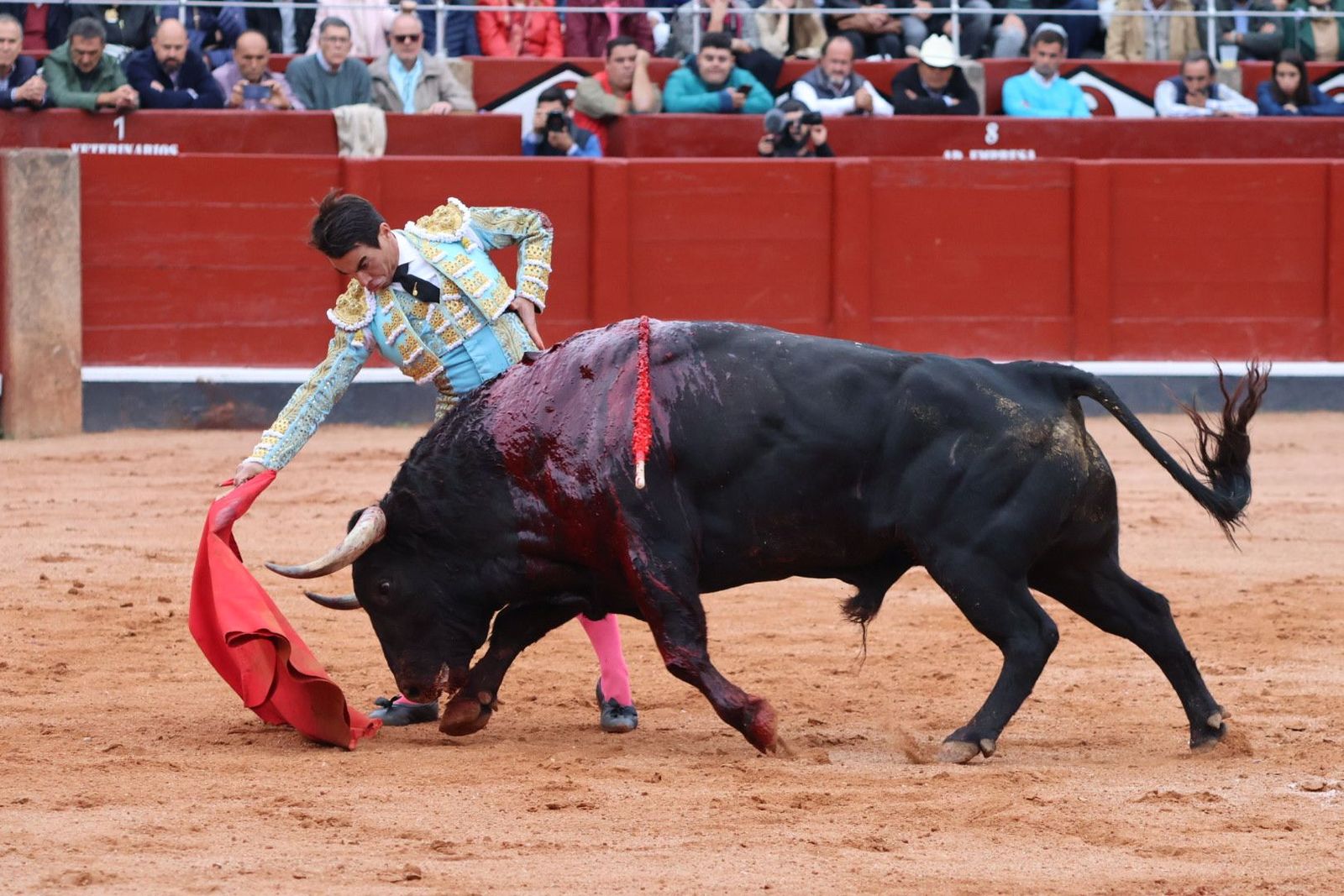 20230921180944-img-8070