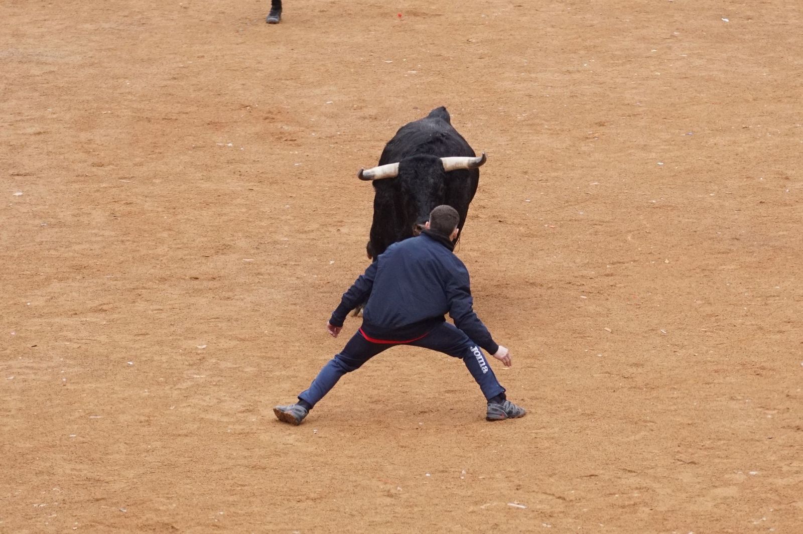 Capea matinal de domingo de carnaval en Ciudad Rodrigo (28).jpeg