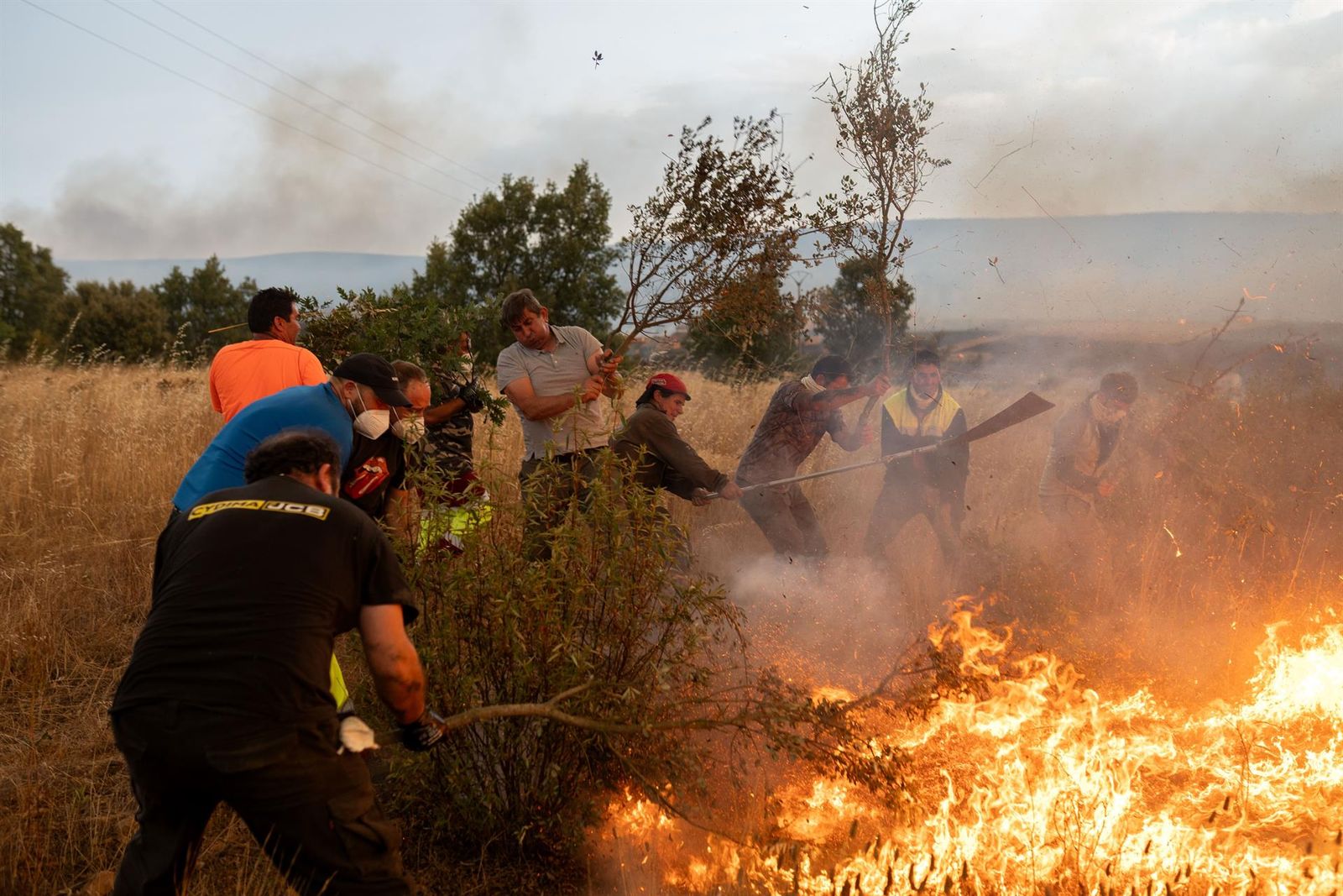 Varias personas tratan de apagar el fuego, a 12 de agosto de 2025, en Abejera, Zamora, Castilla y León (España). - Emilio Fraile - Europa Press
