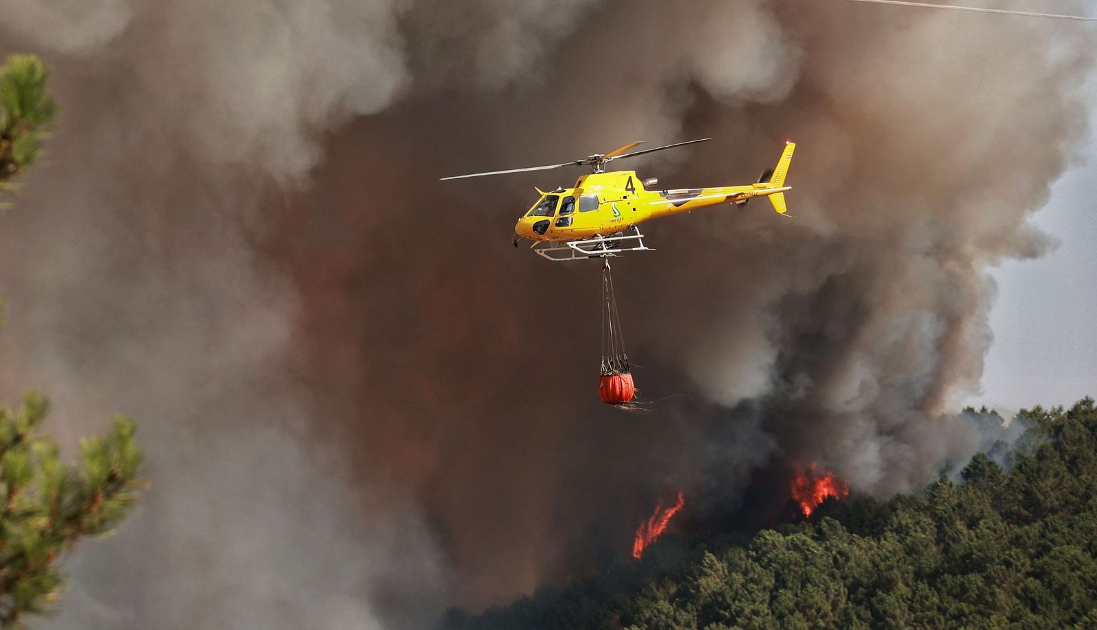 Incendio forestal en El Payo. Fotos ICAL Jose Vicente  (2).jpg