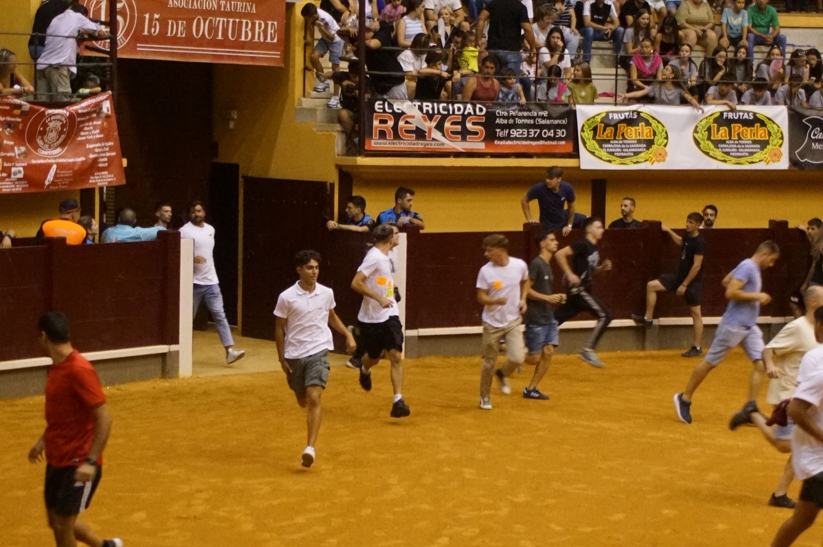 Multitudinario encierro nocturno en Alba de Tormes