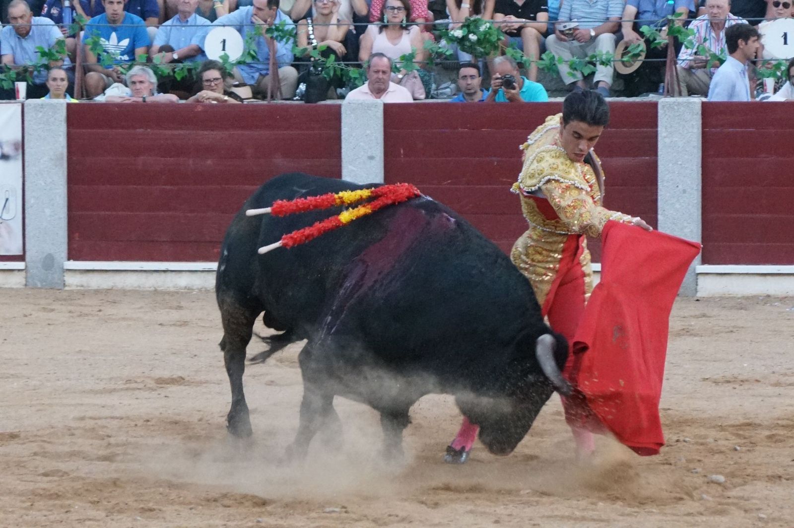 corrida-rejones-guijuelo-42