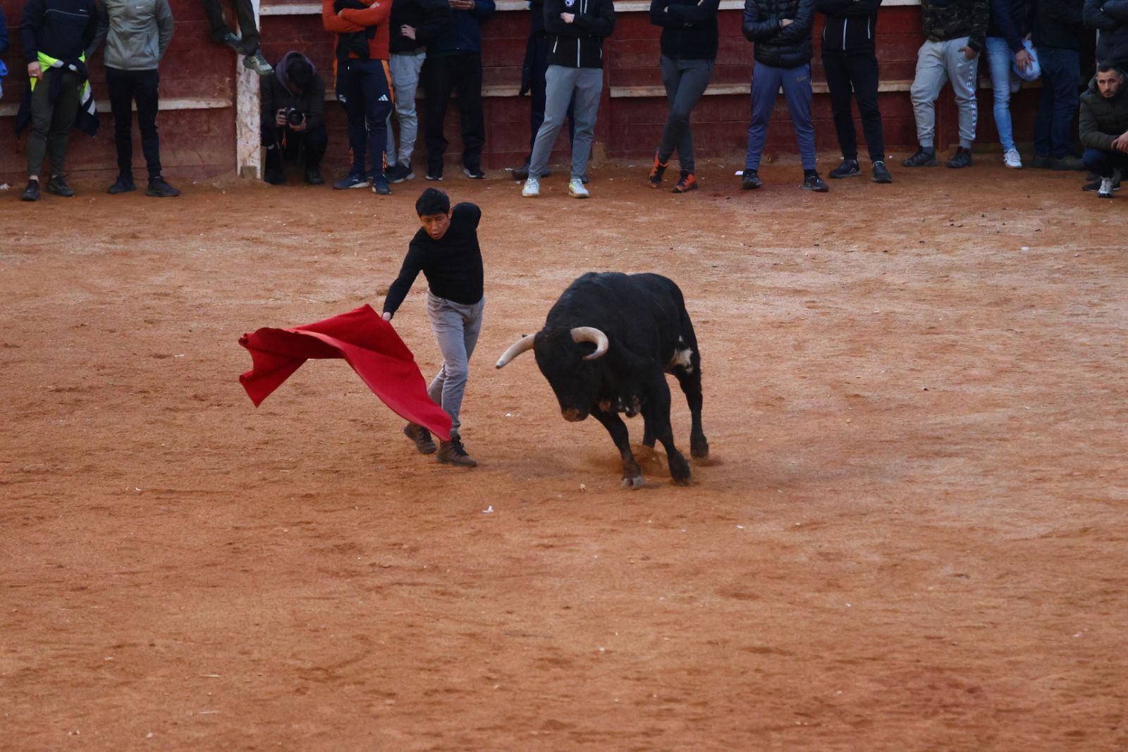 Capea de martes por la tarde en el Carnaval del Toro 2026
