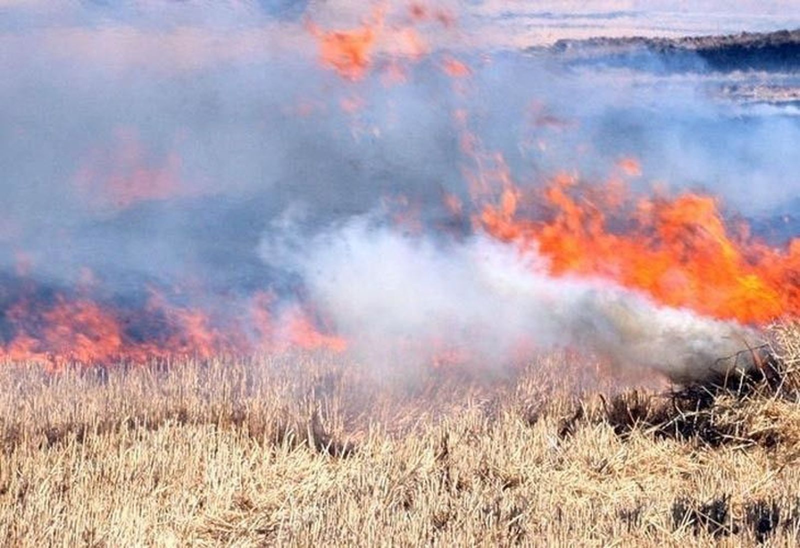 Quema de rastrojos -Archivo